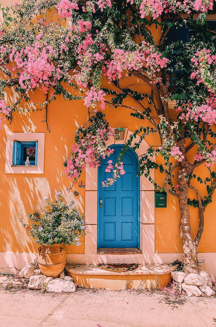 736x1111 Cute Flowers Free Wallpaper .