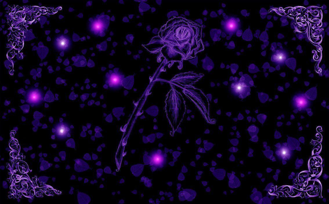 1134x704 Purple Roses