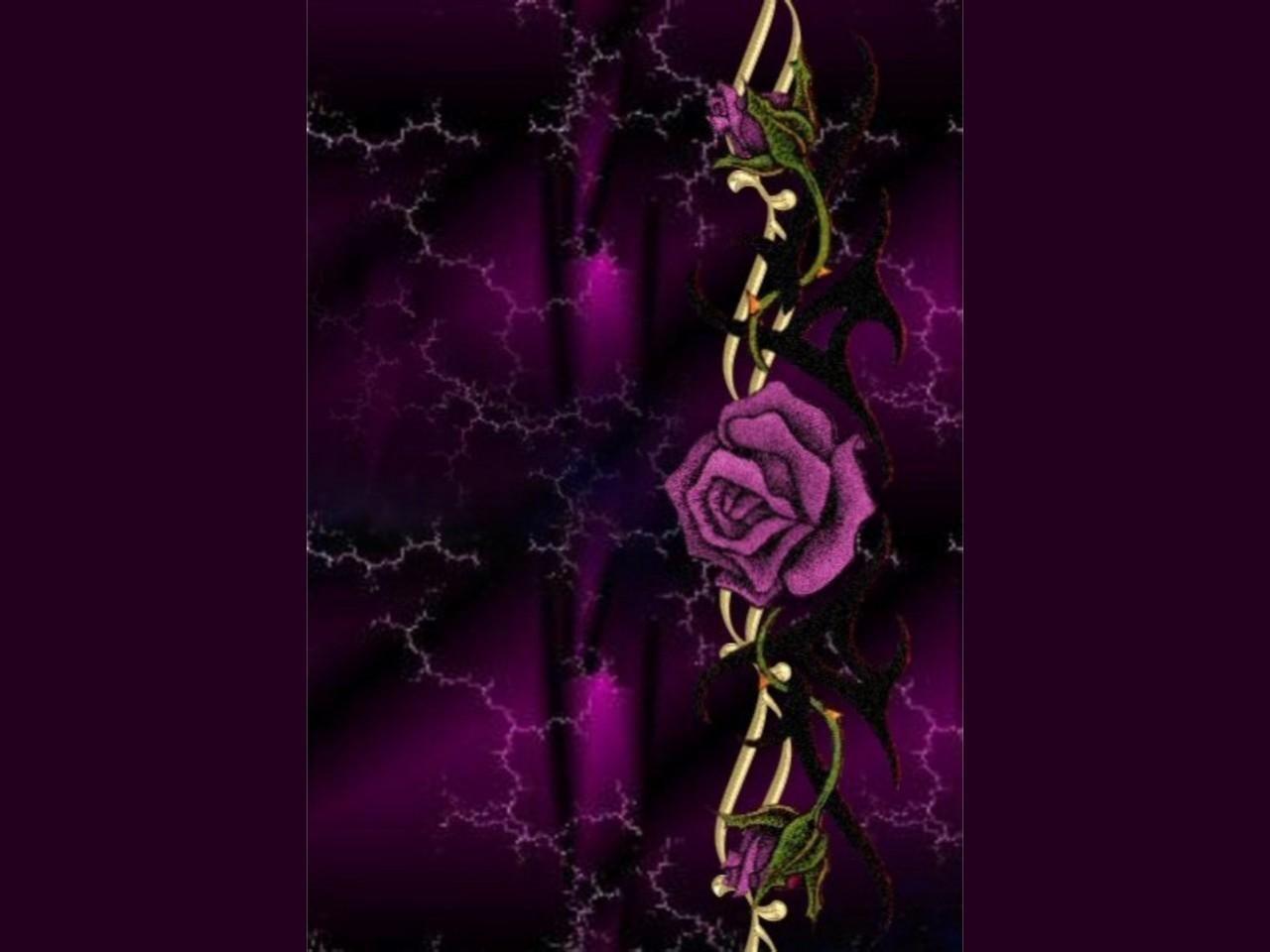 1280x960 Wallpaper Purple Roses