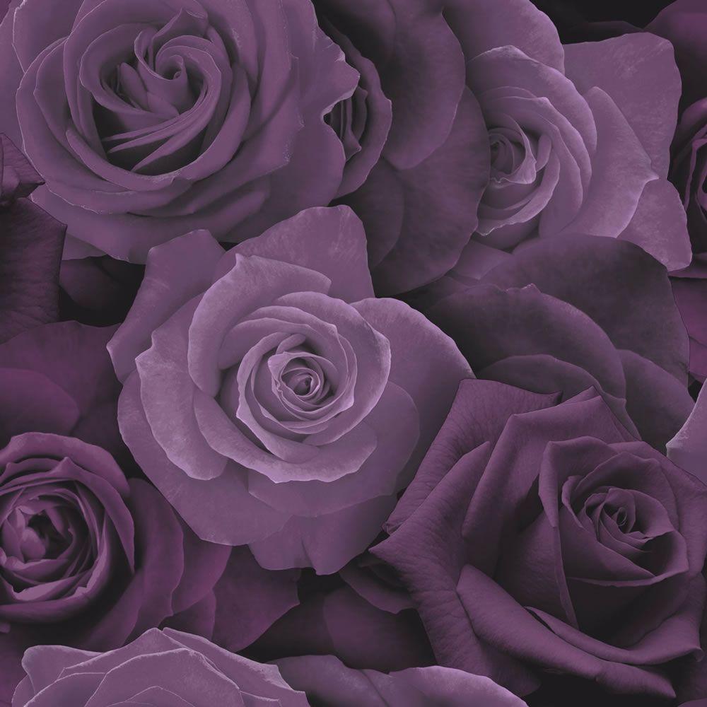 1000x1000 Arthouse Purple Roses Flower Wallpaper .ebay.ie · In stock