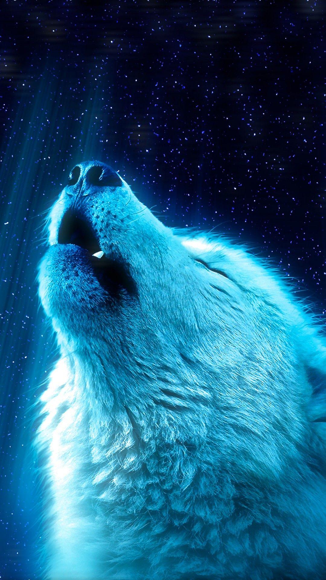 1080x1920 Wolf 4K HD Desktop Wallpaper for 4K .phone14aa.