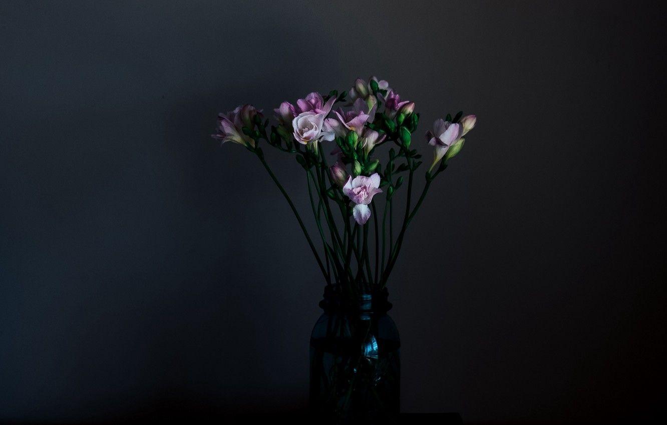 1332x850 Wallpaper dark, flowers, still life .