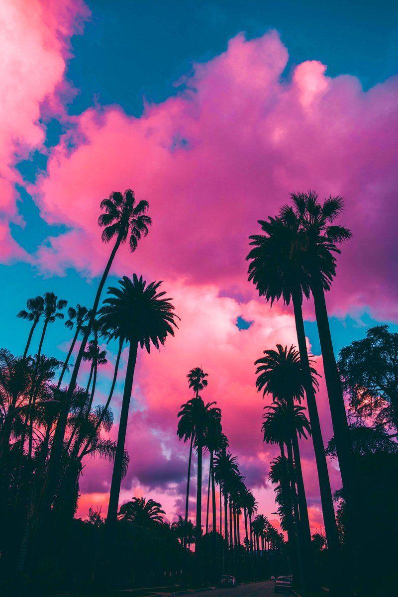 800x1200 Roberto Nickson #DownloadTheApp