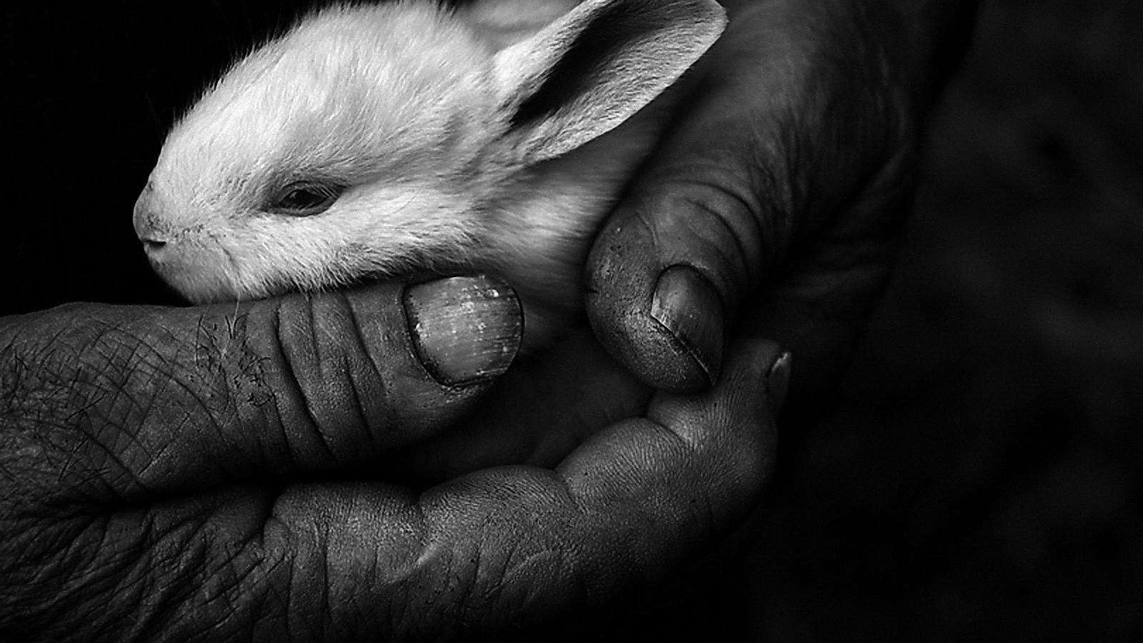 1600x900 love, old, hope, live wallpaperf.co.ua