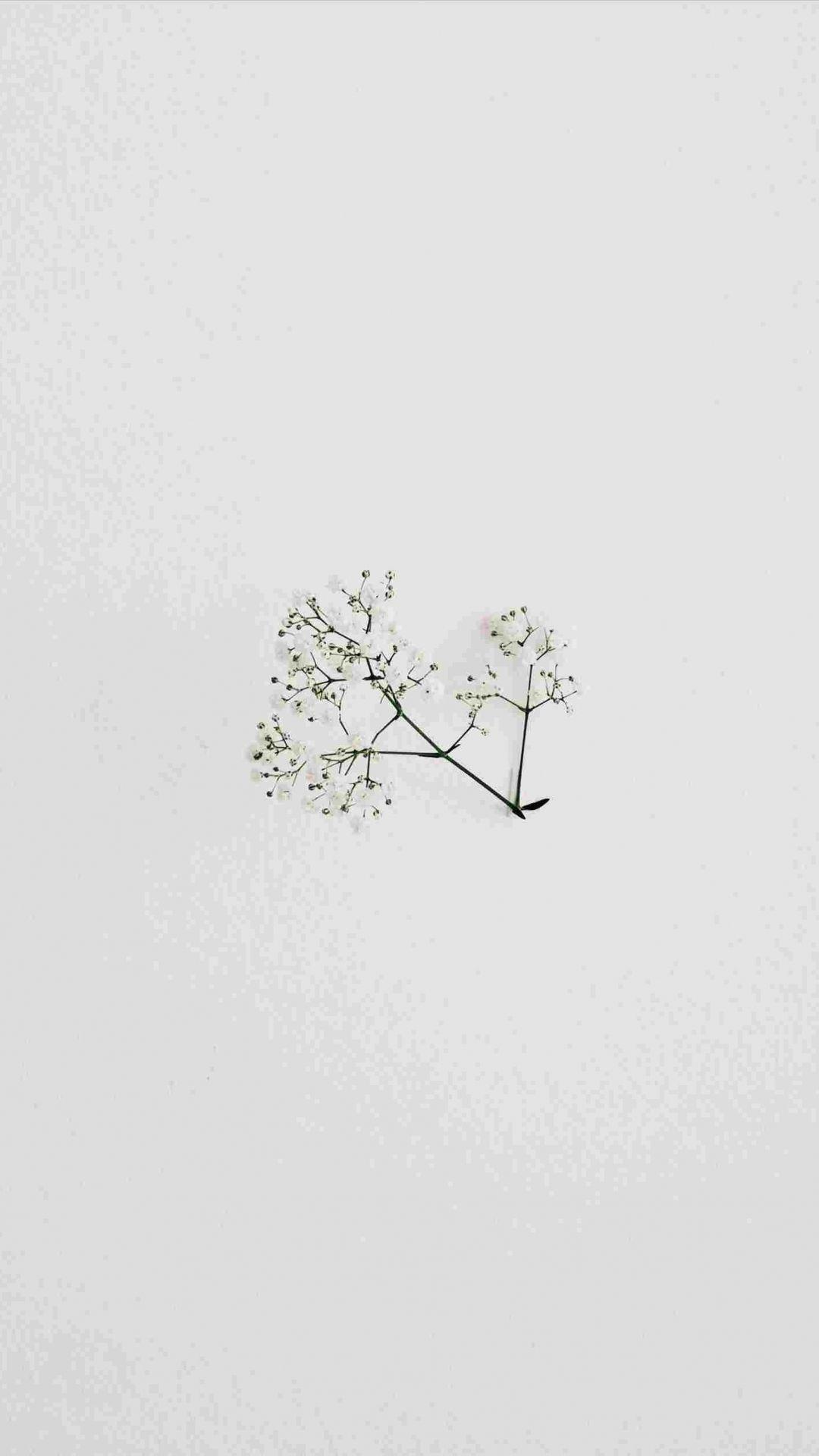Indie Minimalist Wallpapers - Top Free Indie Minimalist Backgrounds