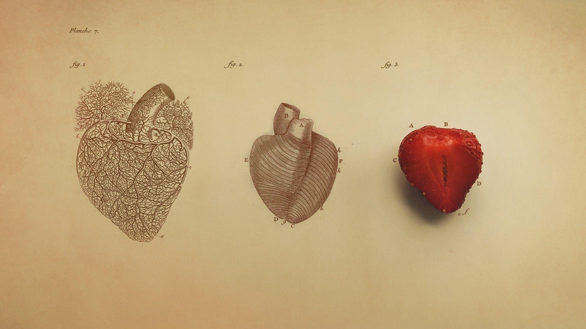 1920x1080 Heart Digital Art Minimalism Simple .