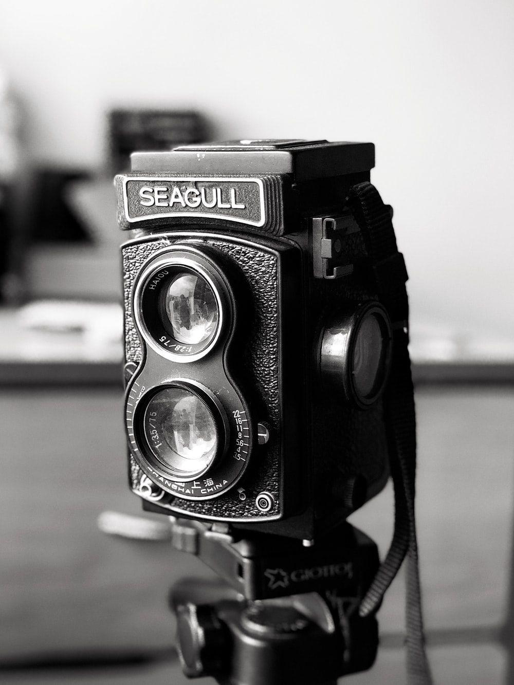 1000x1333 Black And White Camera Picture .com