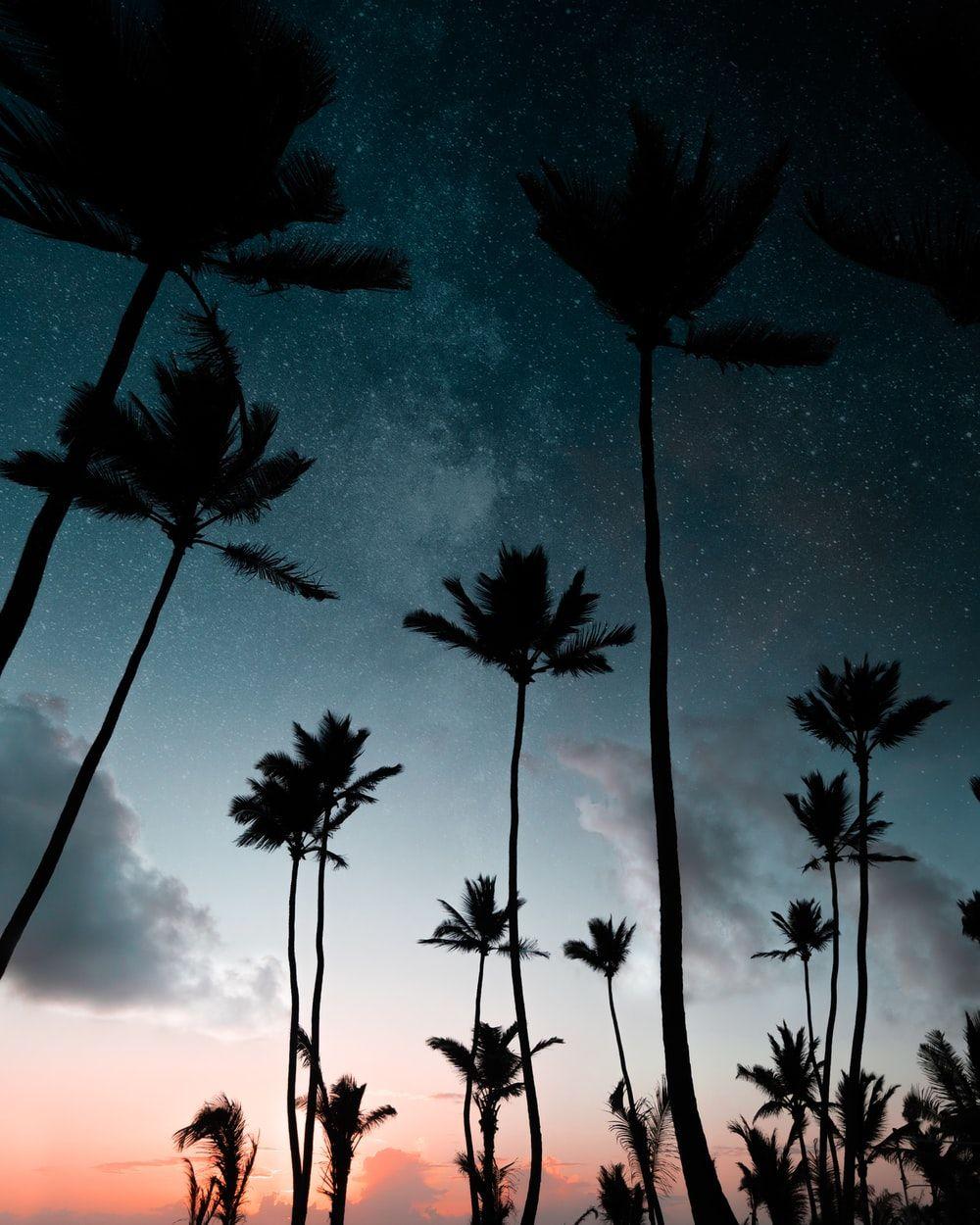 1000x1250 Beach Night Picture. Download Free .com