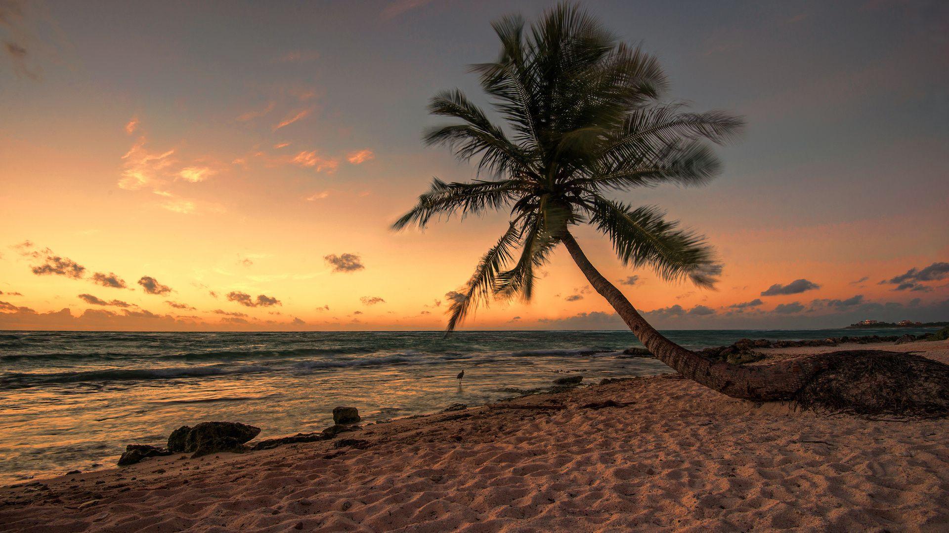 1920x1080 Beach Dream Night Wallpaper .