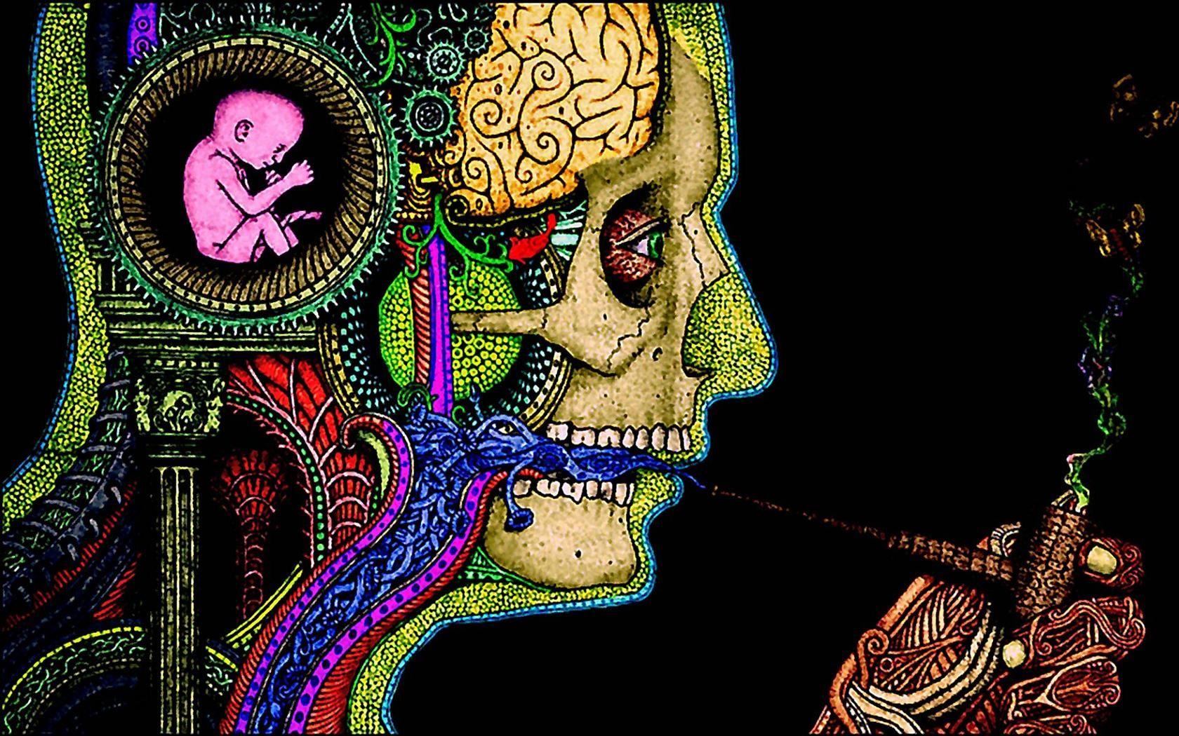 Trippy Skull Wallpapers - Top Free Trippy Skull Backgrounds