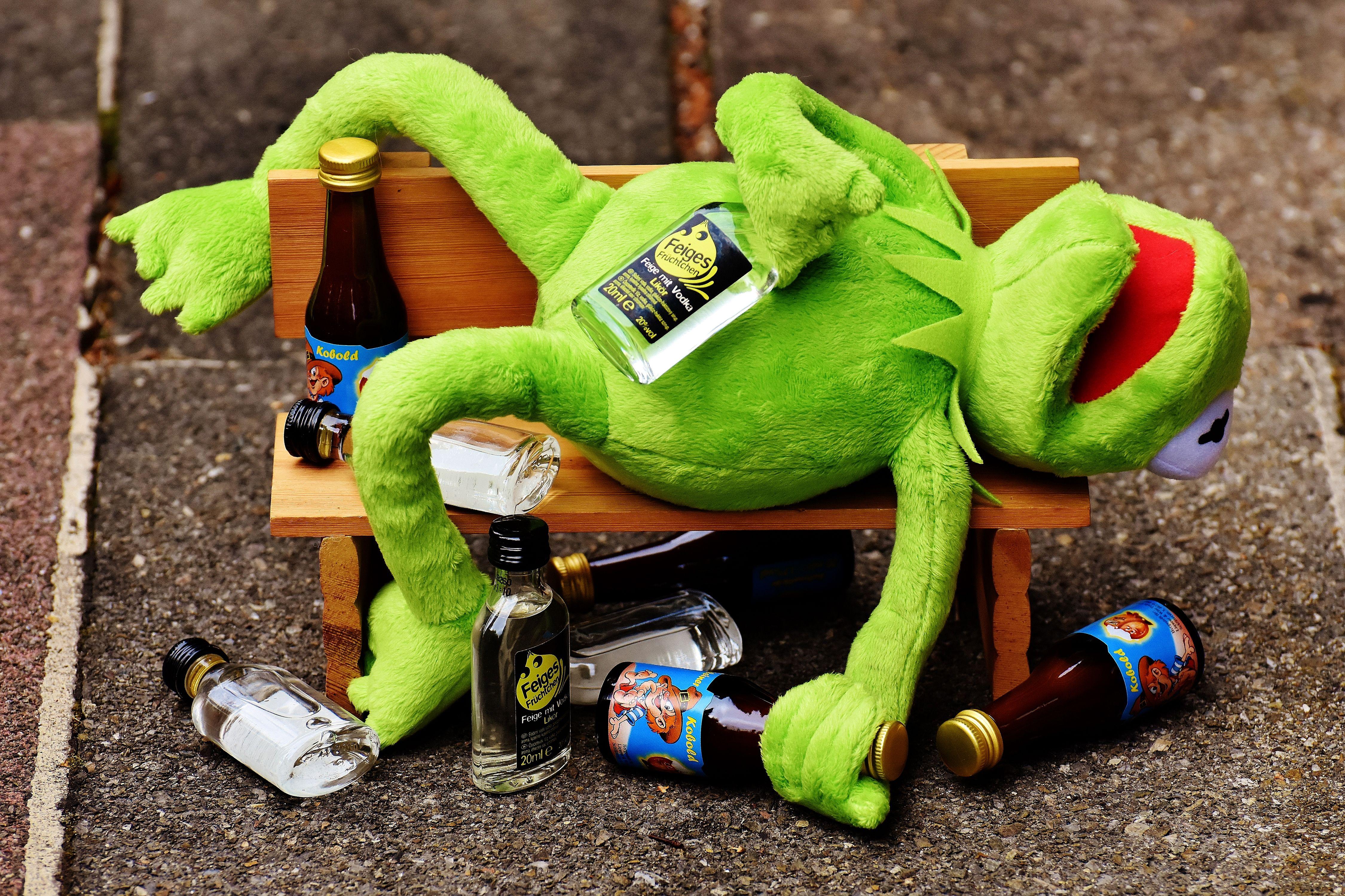 4500x3000 Kermit The Frog Drunk Meme