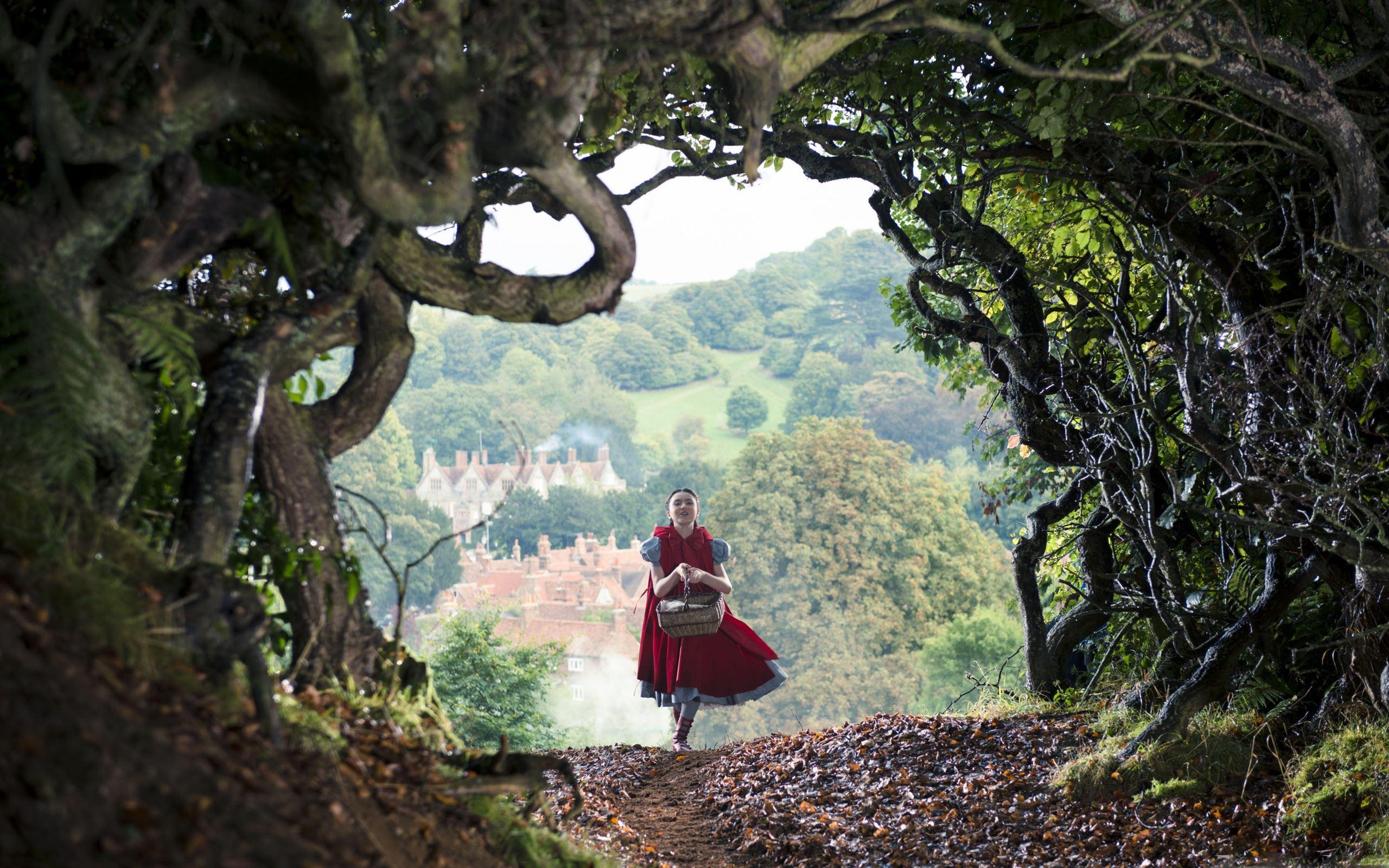 2560x1600 Woods Disney MacBook Air Wallpaper .