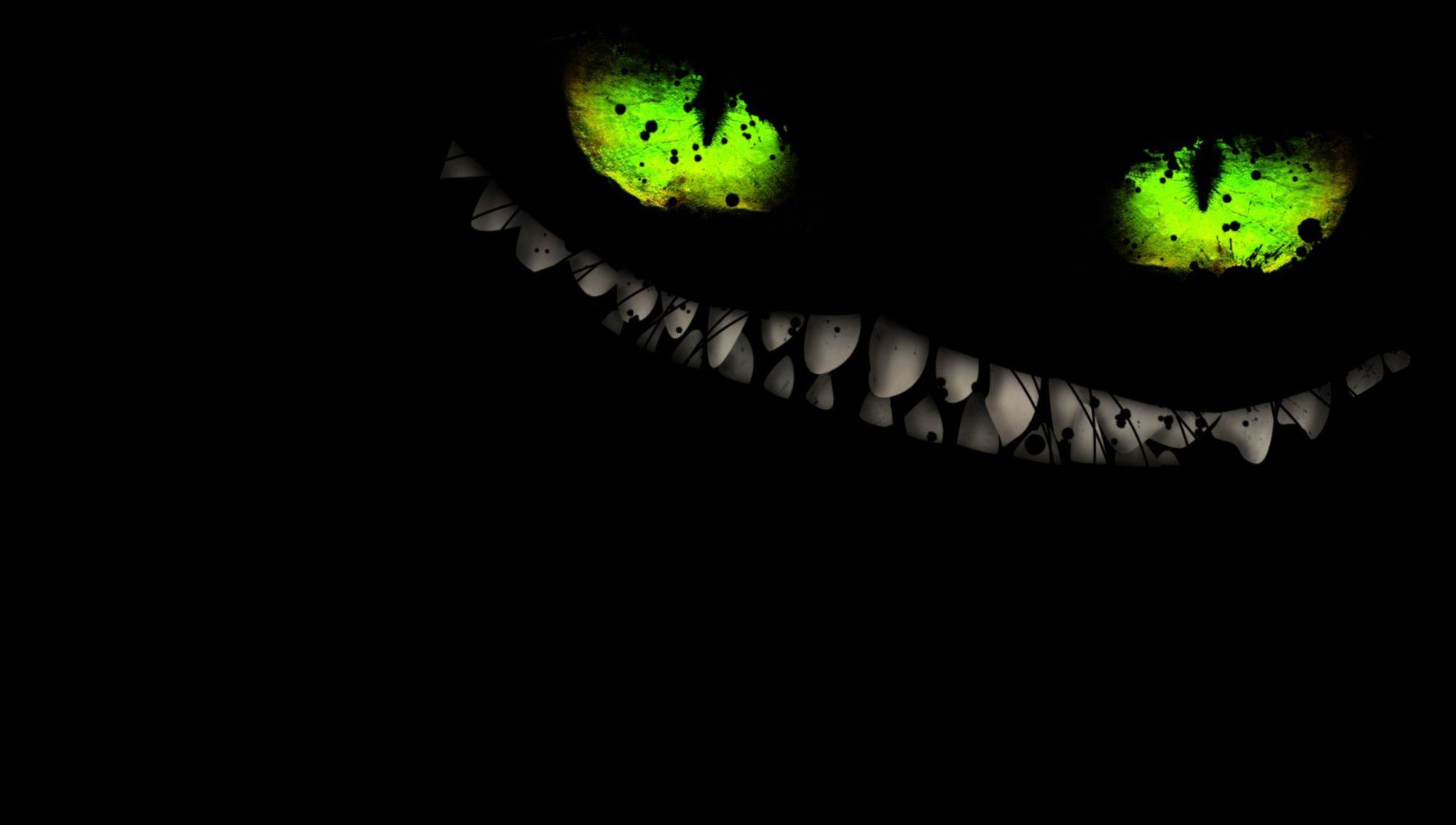 Cat Smile Wallpapers - Top Free Cat Smile Backgrounds - WallpaperAccess