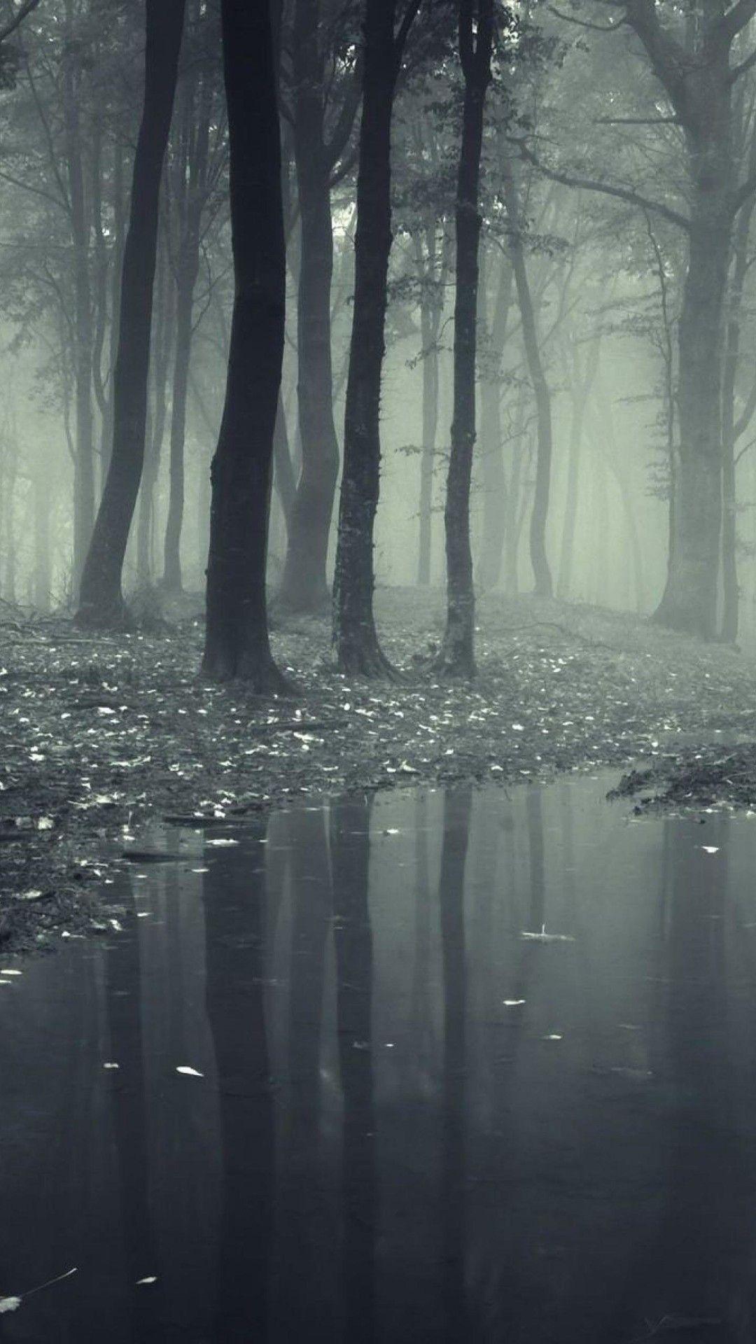 1080x1920 Forest Black And White Wallpaper .itl.cat