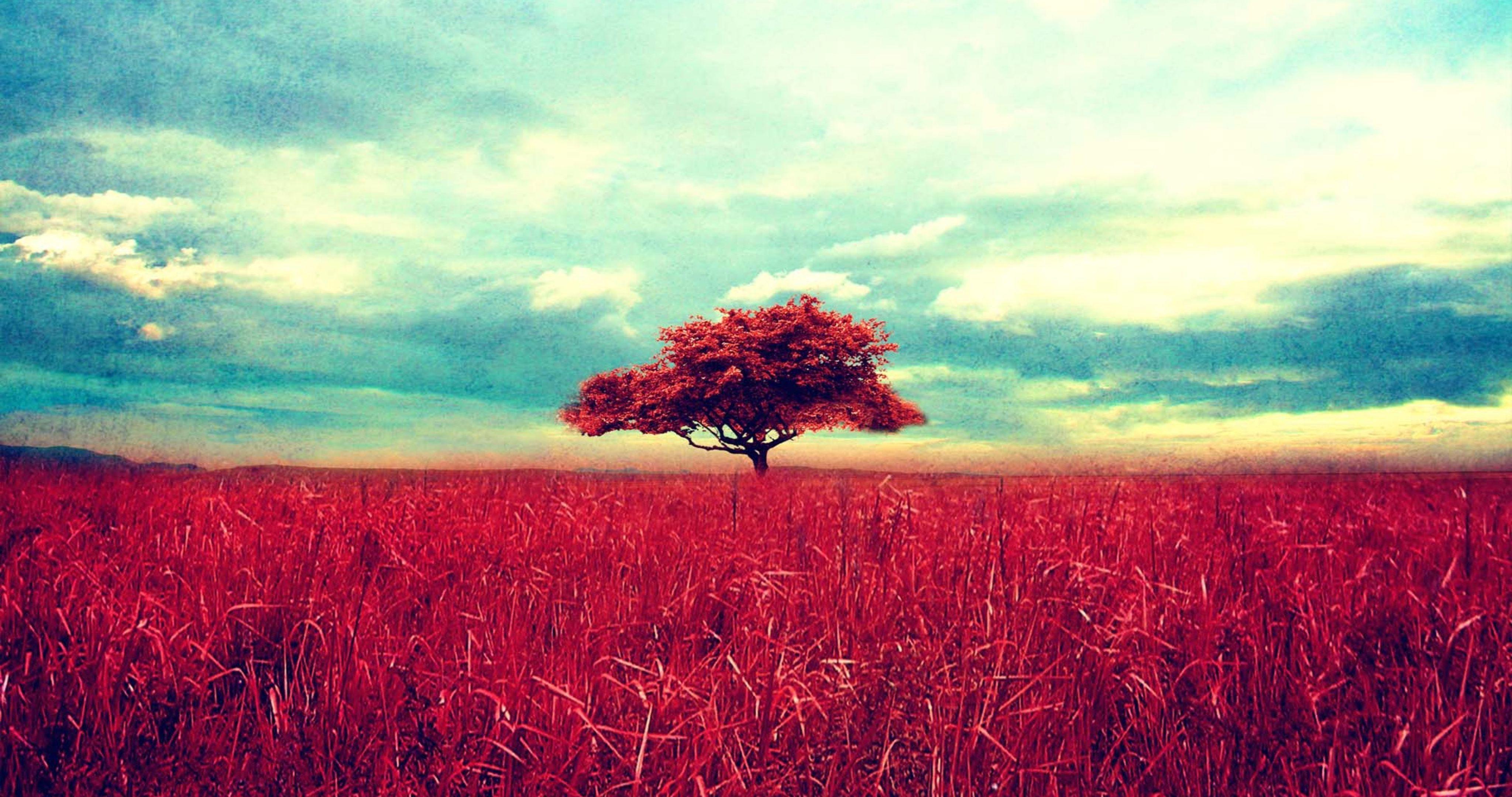 4096x2160 Android, iPhone, Desktop HD Background .
