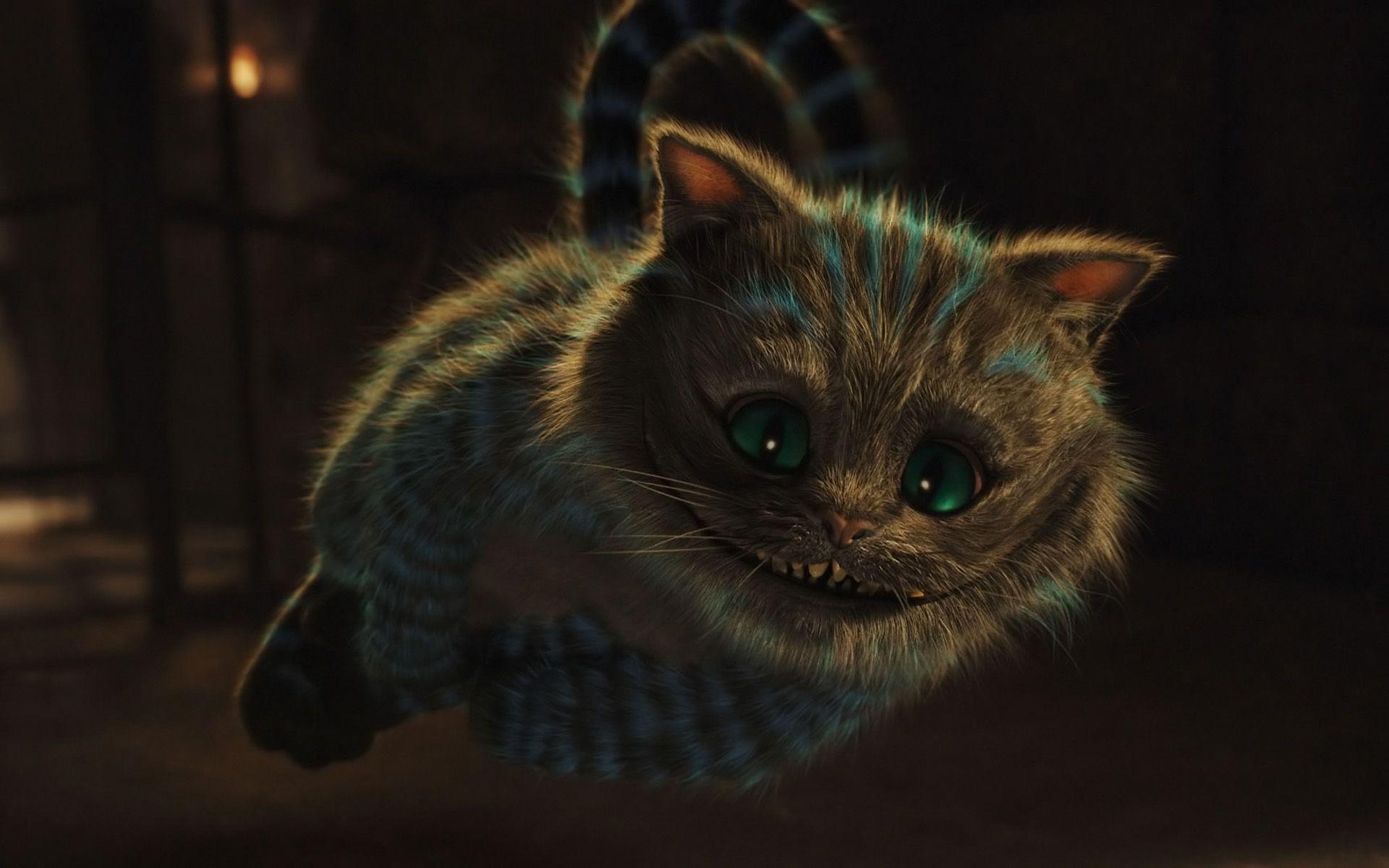 1920x1200 Cheshire Desktop Background .