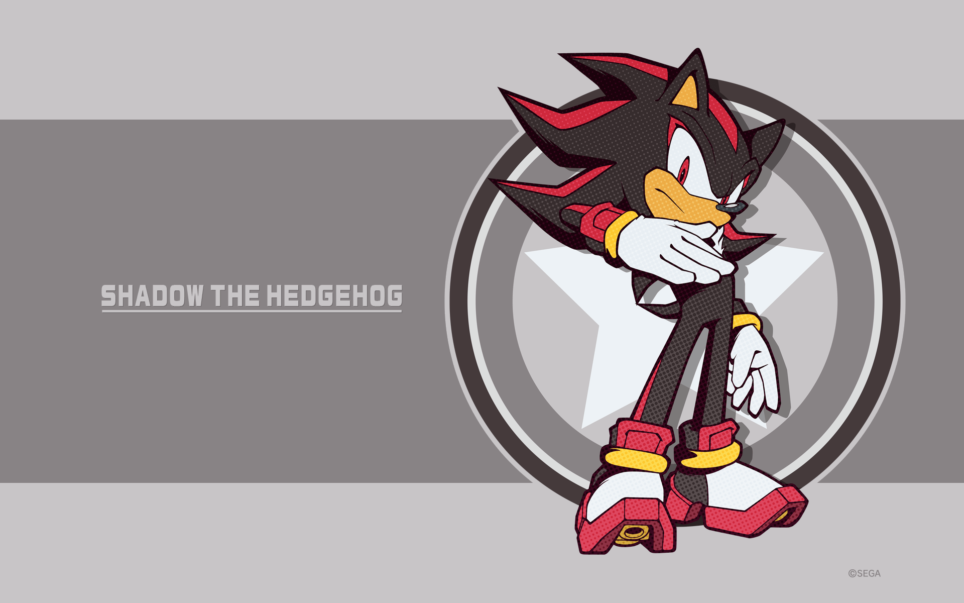 1920x1200 Shadow The Hedgehog Wallpaper .