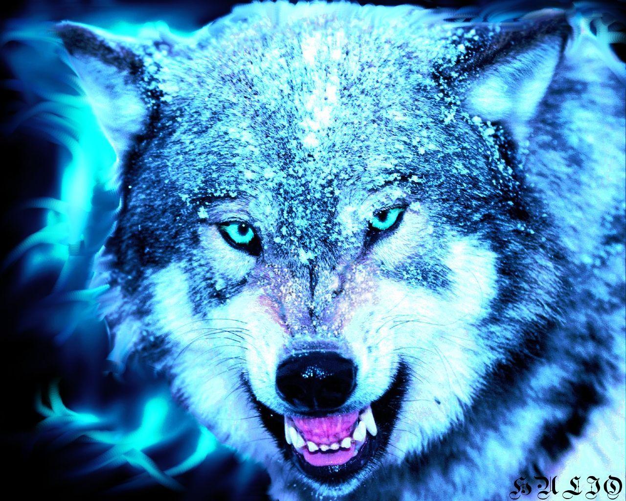 Cool Neon Wolf Wallpapers Free Download