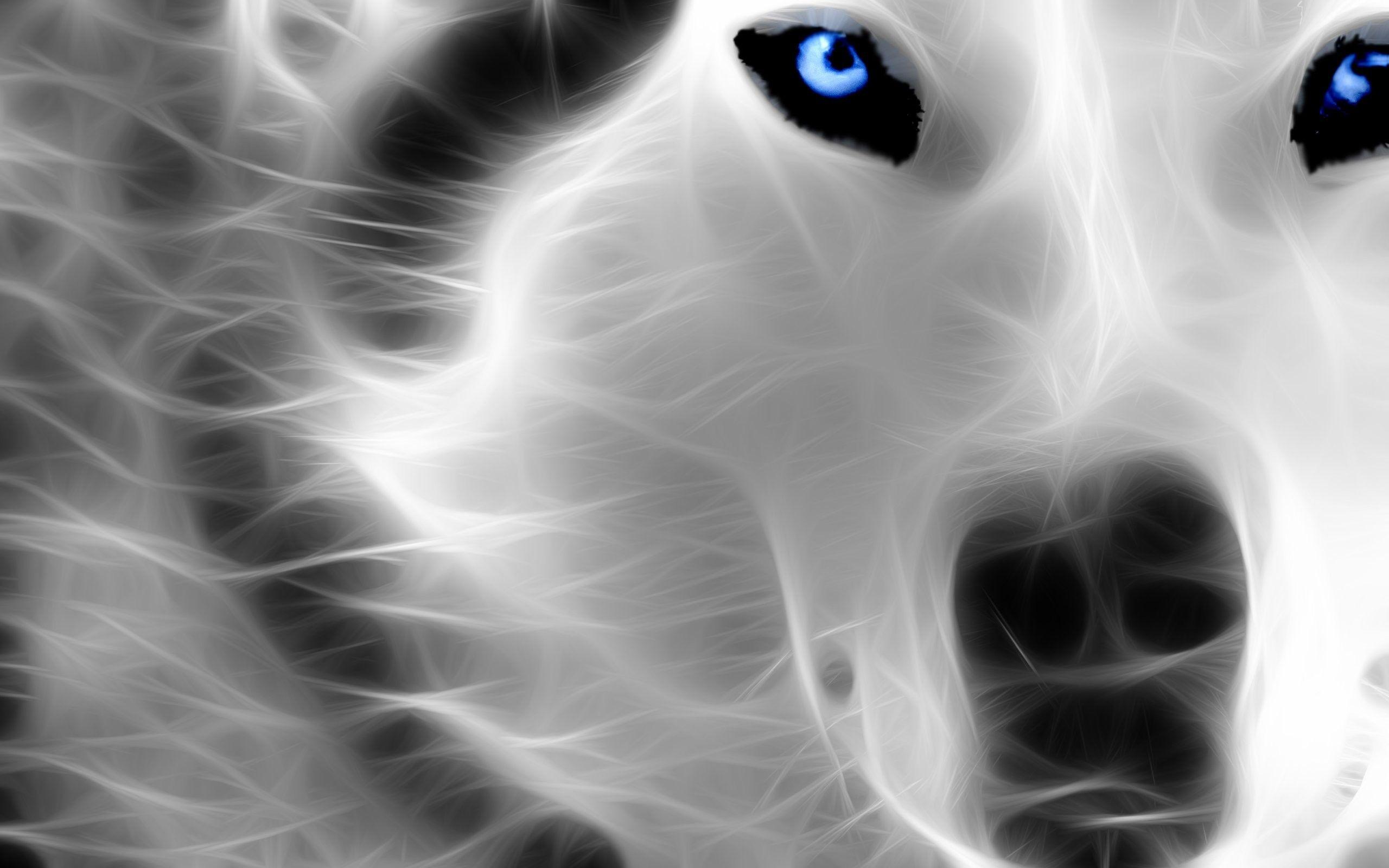 2560x1600 Neon Wolf