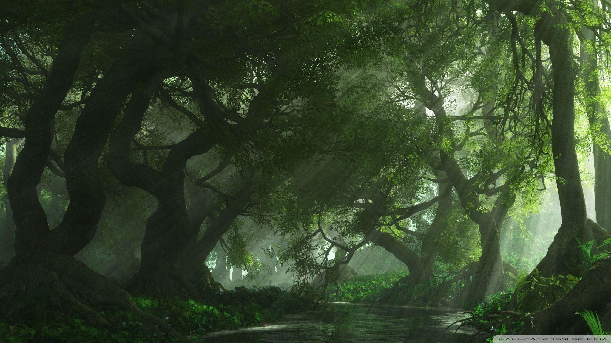 Anime Forest Wallpapers - Top Free Anime Forest Backgrounds