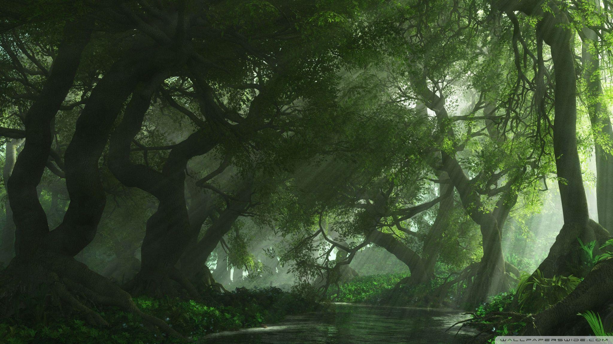 Anime Forest Wallpapers - Wallpaper Cave