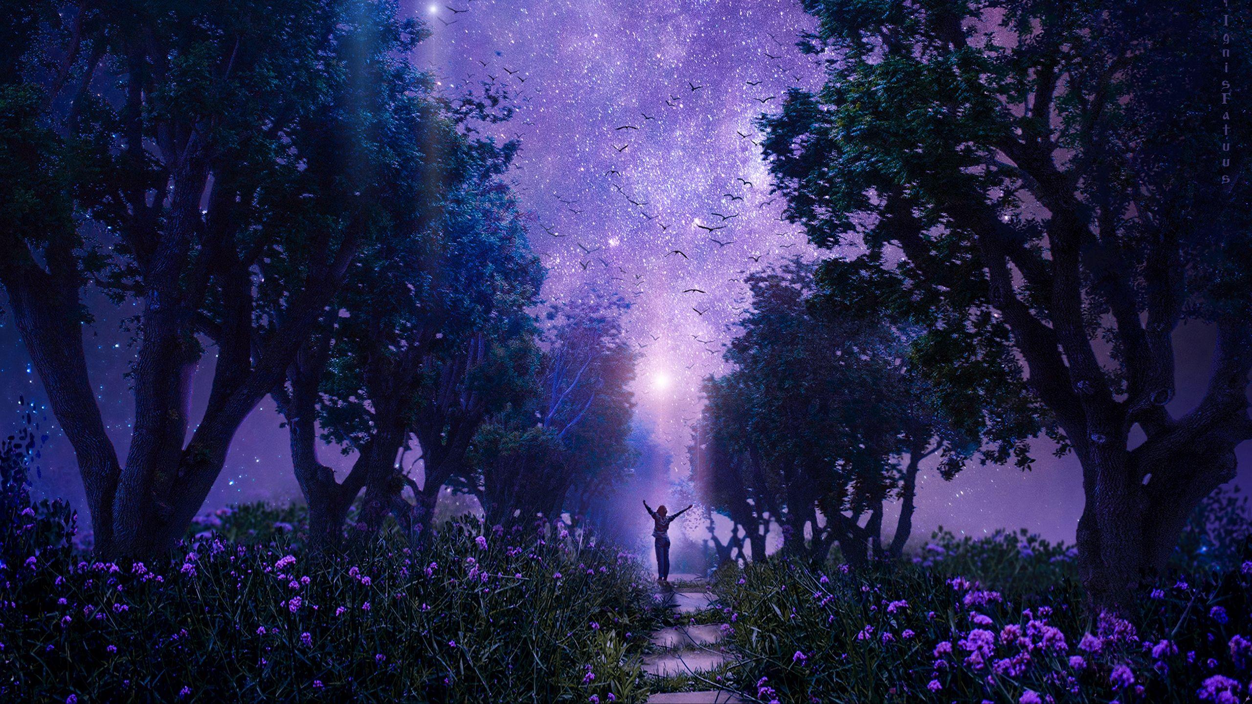2560x1440 Wallpaper Forest, Starry Sky, Art, Purple, Fabulous Forest Wallpaper HD HD Wallpaper