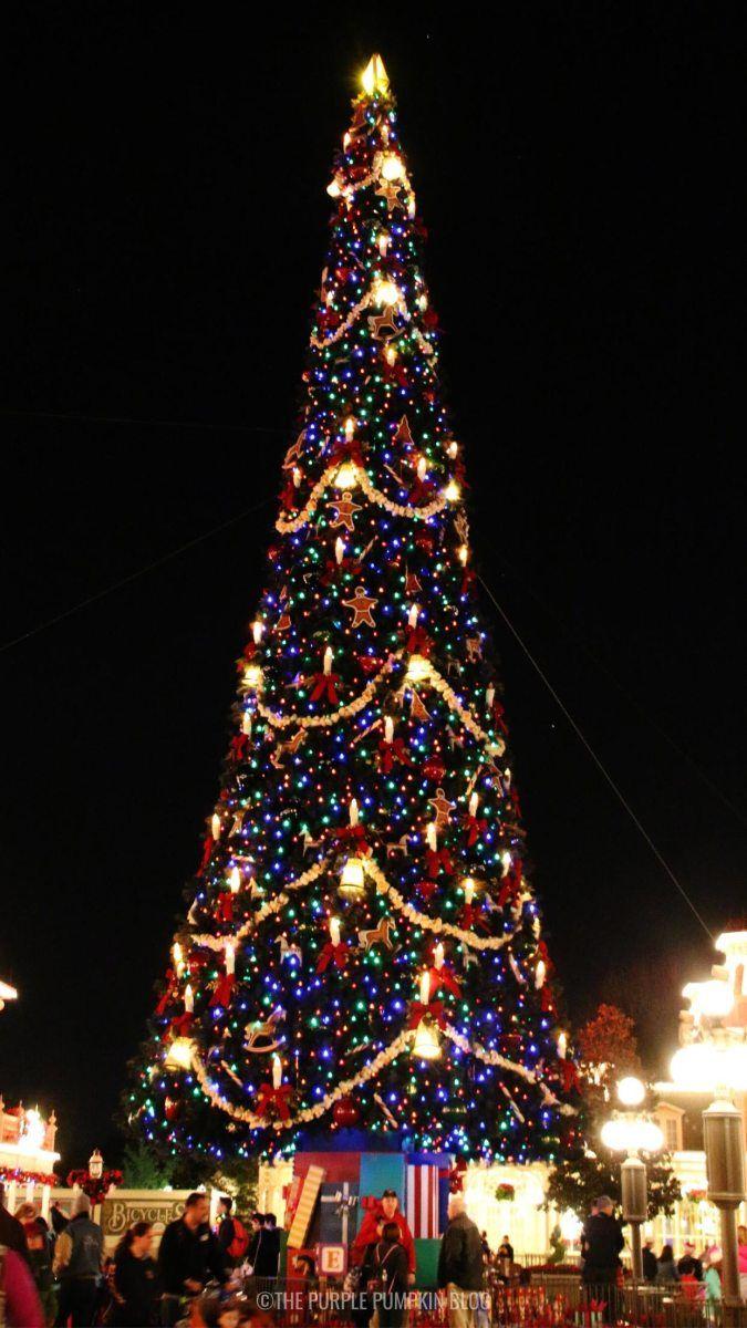 675x1200 Walt Disney World Christmas Wallpaper .thepurplepumpkinblog.co.uk