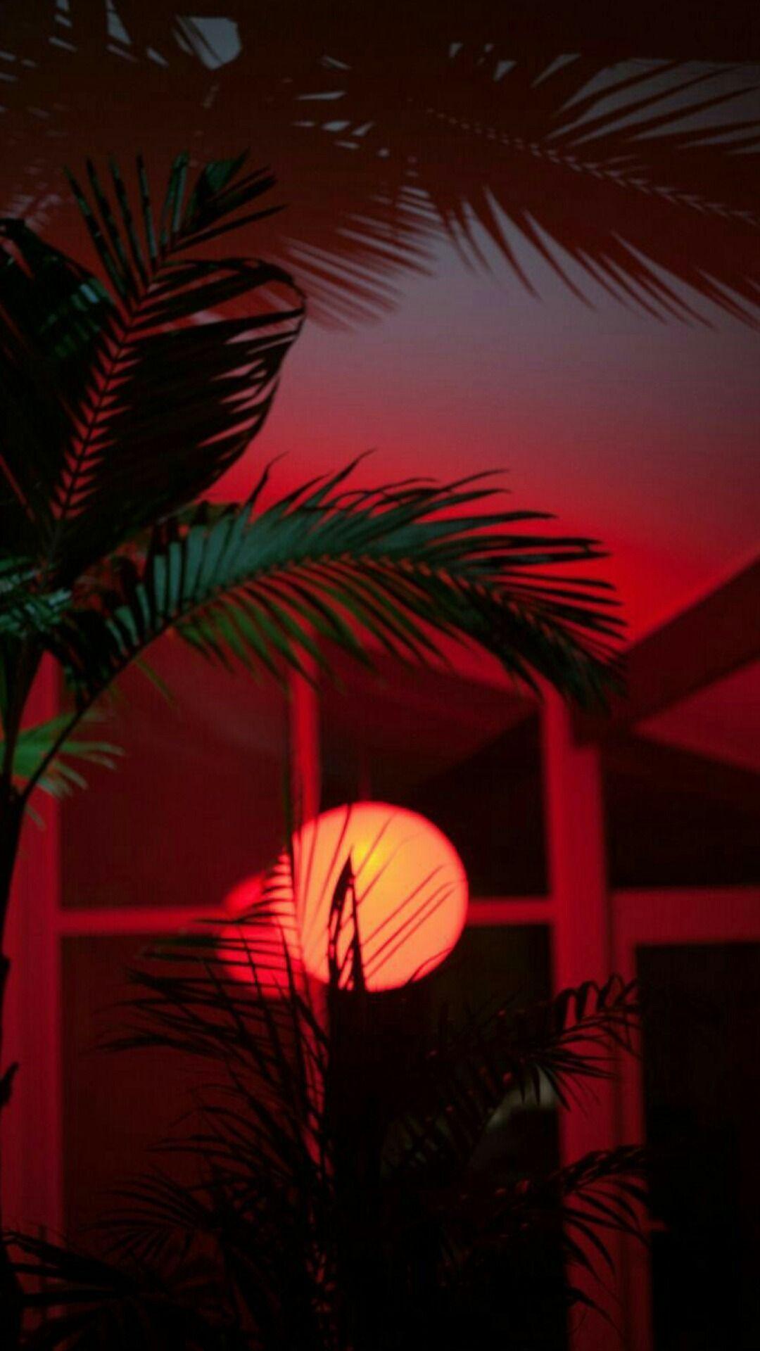 1080x1920 Android, iPhone, Desktop HD Background .