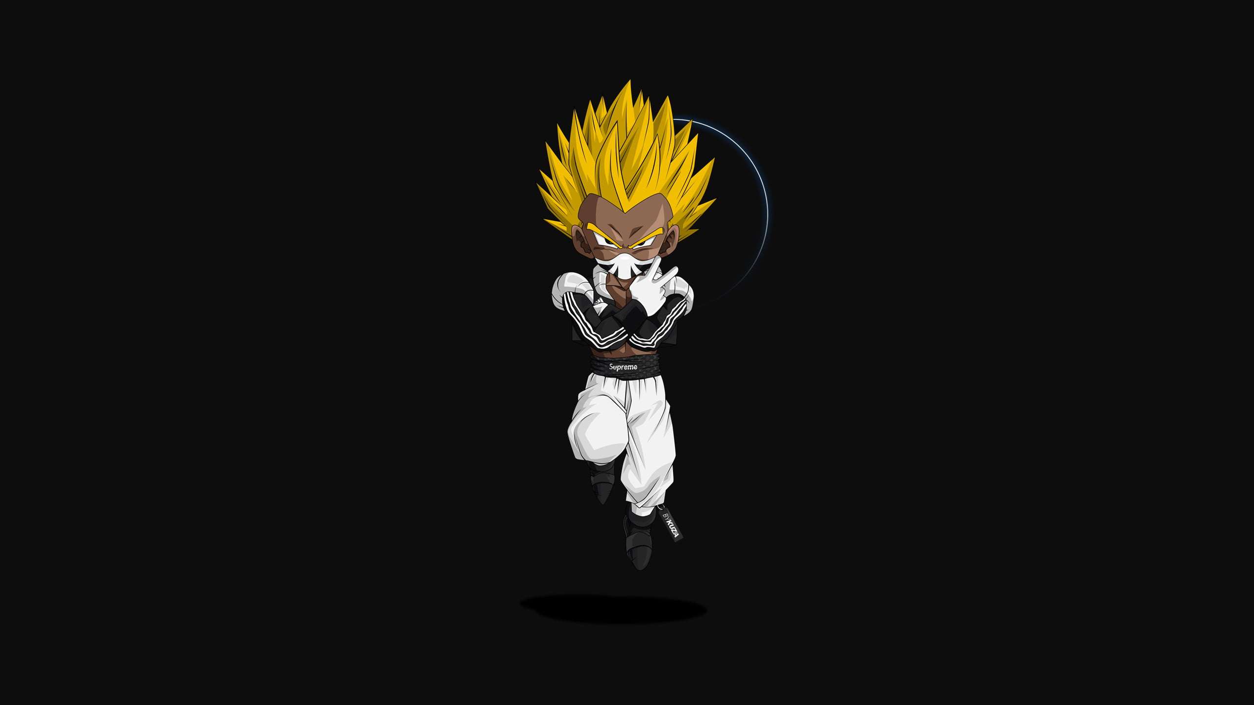 2560x1440 Supreme Dragon Ball Z Wallpaper