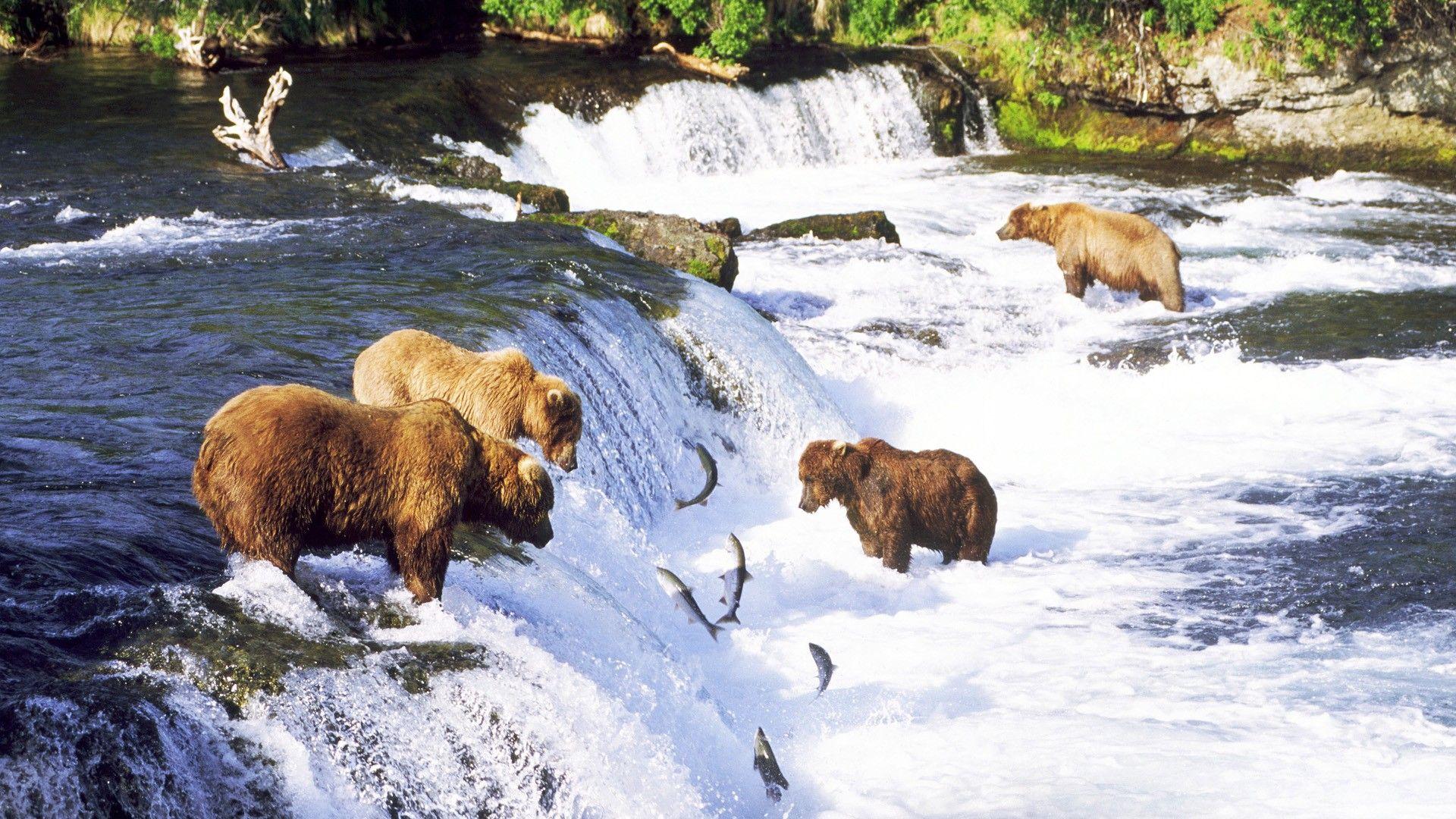 1920x1080 Download Alaska Fishing Wallpaper .