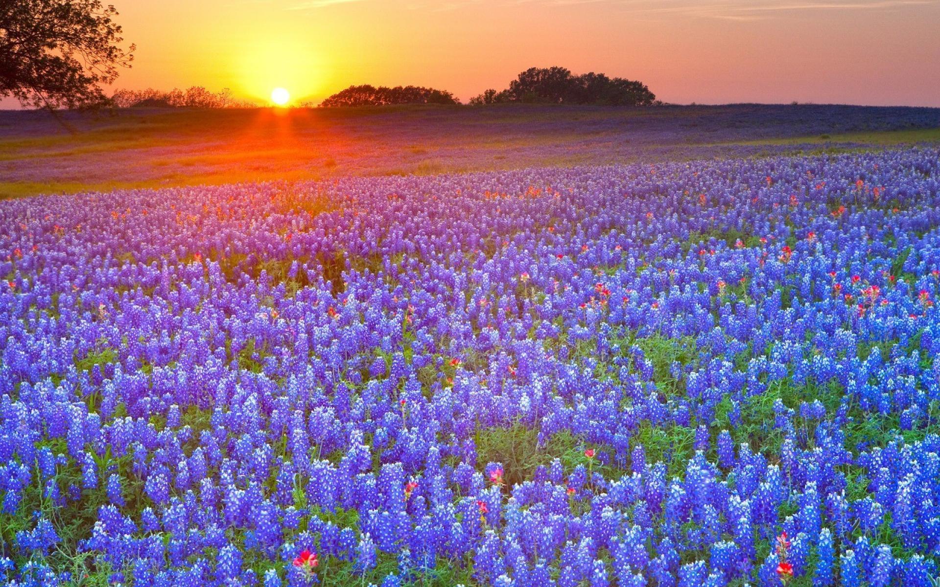 Texas Coast Wallpapers - Top Free Texas Coast Backgrounds - WallpaperAccess