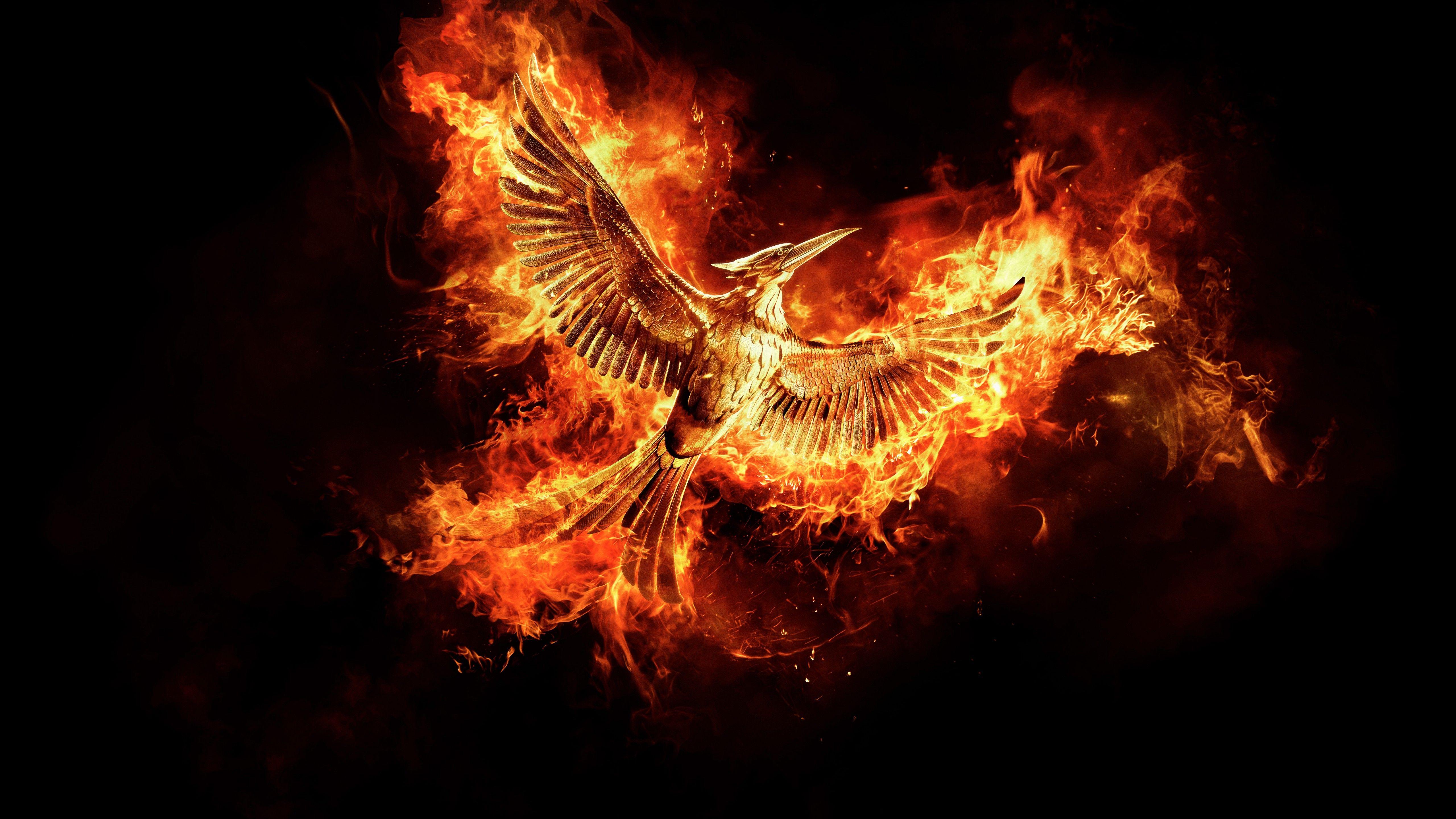 5120x2880 Hunger Games Wallpaper HD 5120x2880 .