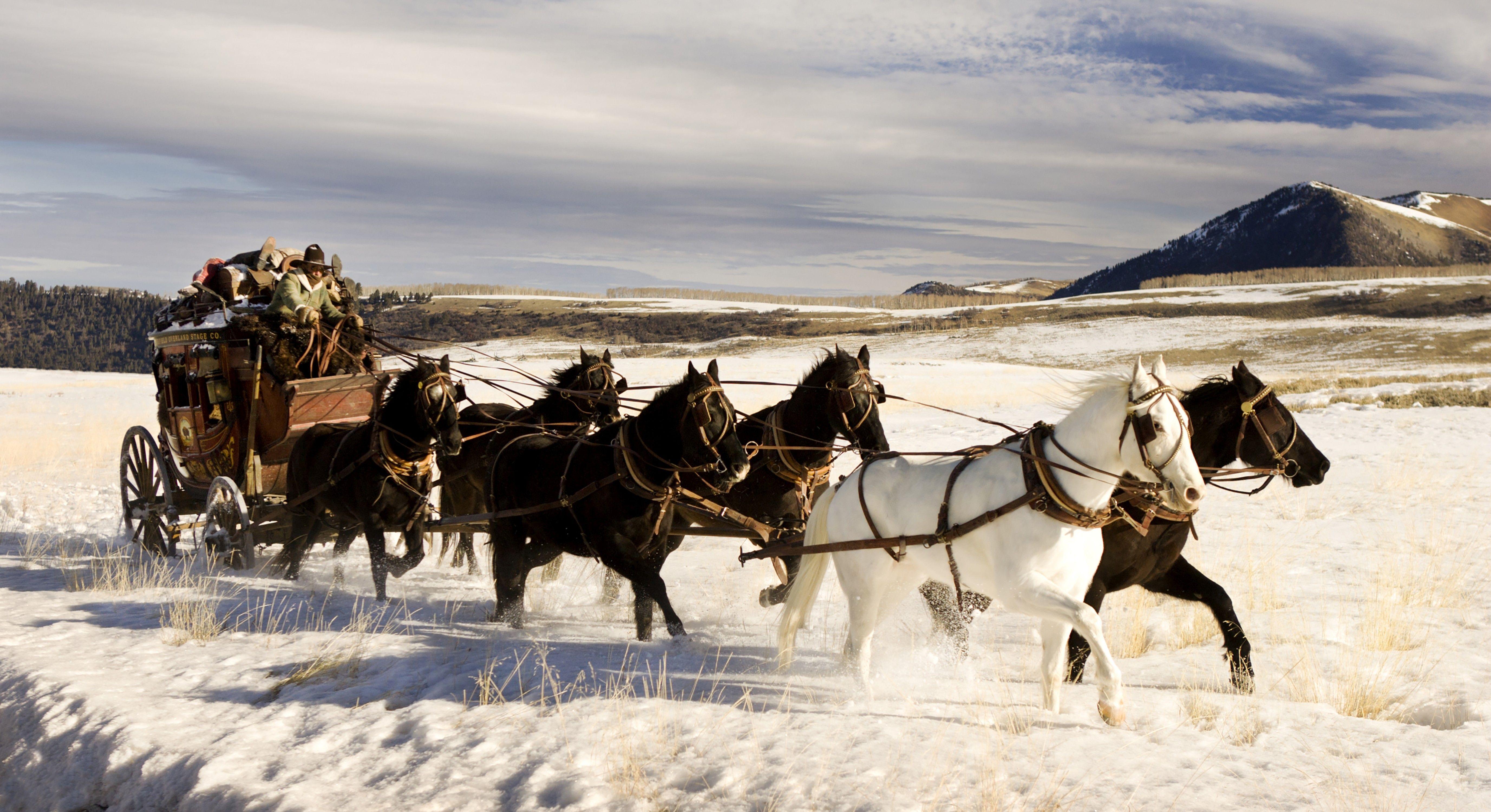 5508x3000 The Hateful Eight Horse Wallpaper:5508x3000