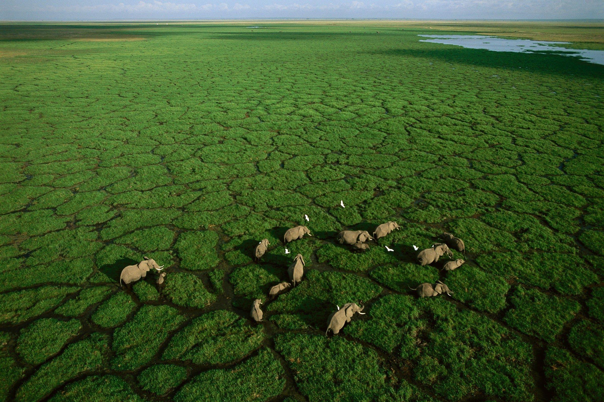 2400x1600 Algae, Flora, Plant, Soil, Vegetation .ze