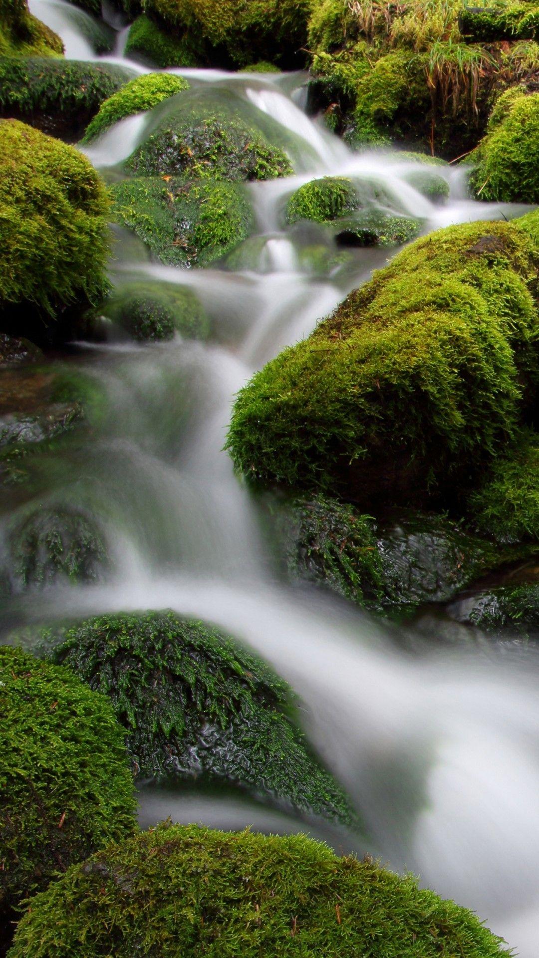 1080x1920 Waterfall Stream In Between Green Algae .hdwallpaper.in