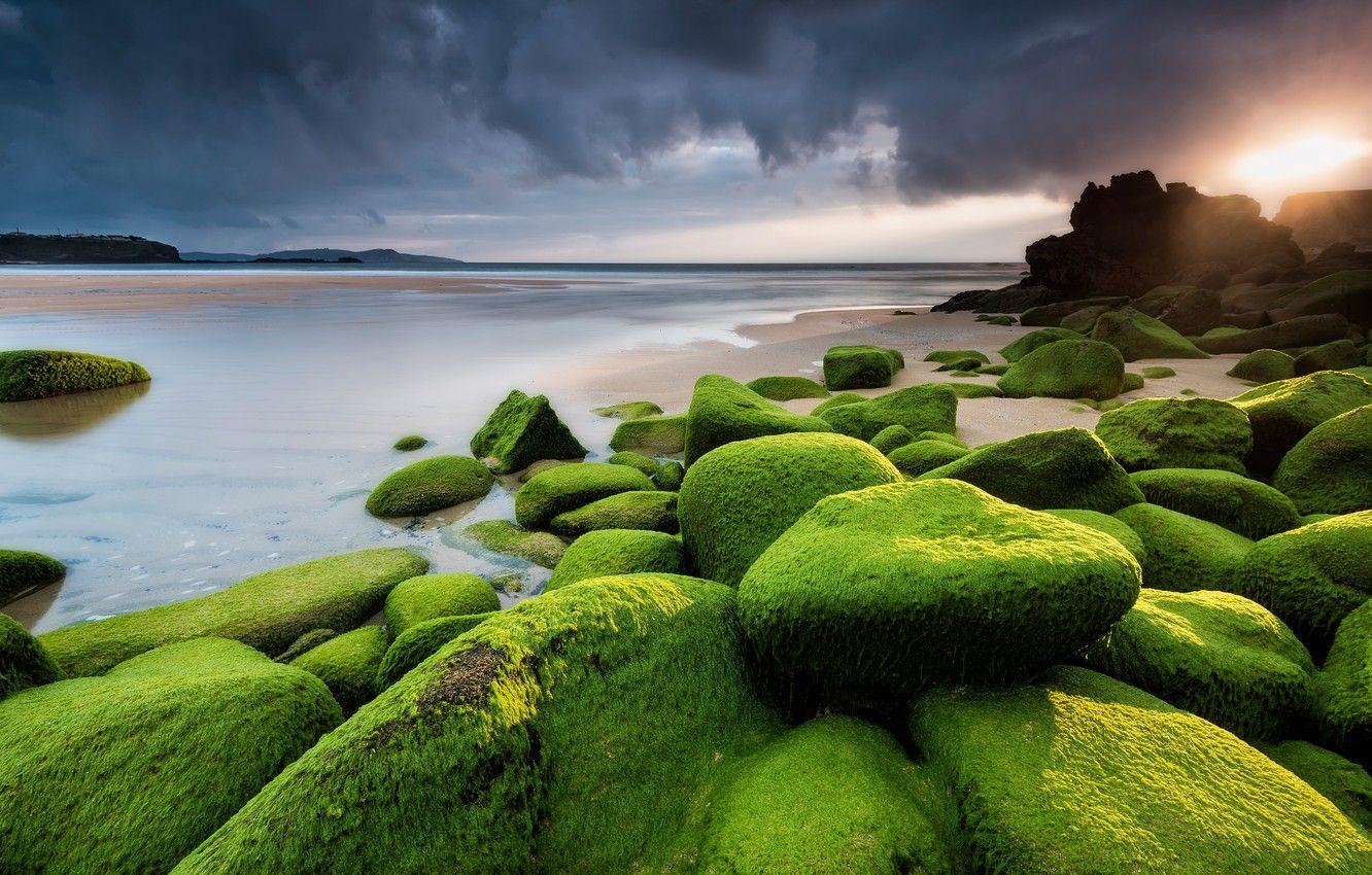 1332x850 Wallpaper sea, beach, the sky, the sun .