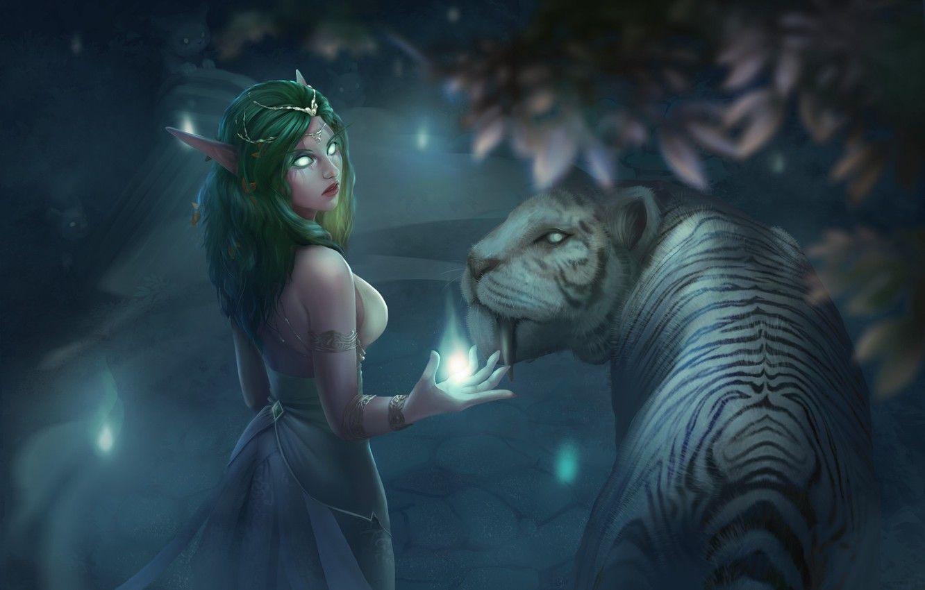 1332x850 Wallpaper Figure, Tiger, Elf, Art, Pet .