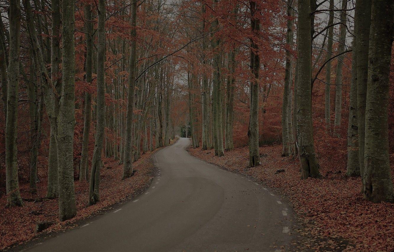 Gloomy Day Wallpapers - Top Free Gloomy Day Backgrounds - WallpaperAccess