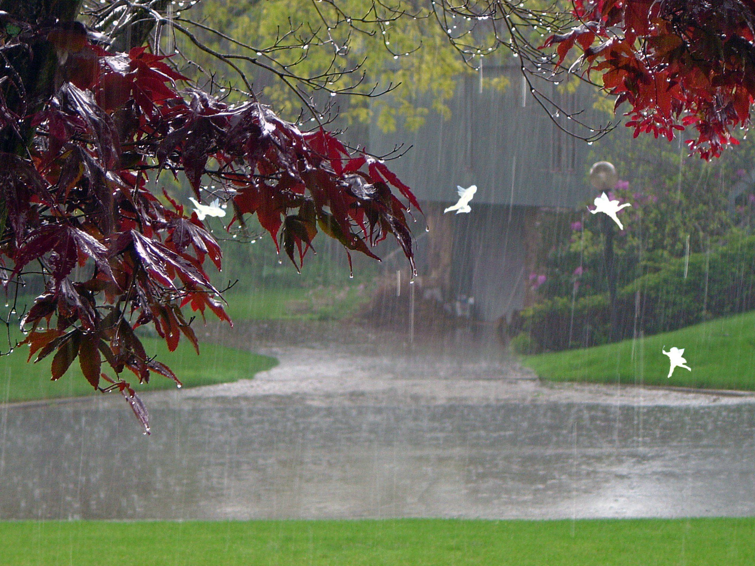 2560x1920 Google Rainy Day
