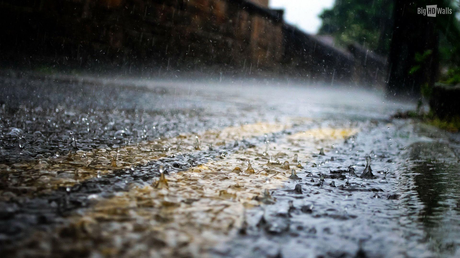 1920x1080 Rainy Day HD Wallpaperwallpaper.dog
