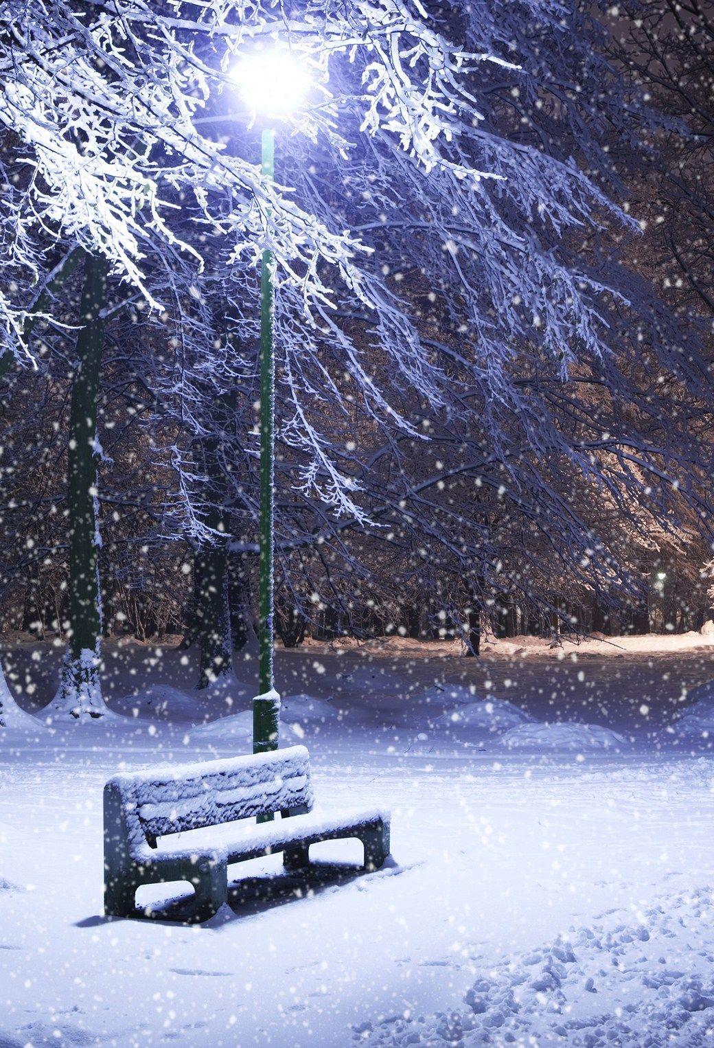 1040x1526 Winter Night Wallpaper for iPhone 11 .3wallpaper.fr