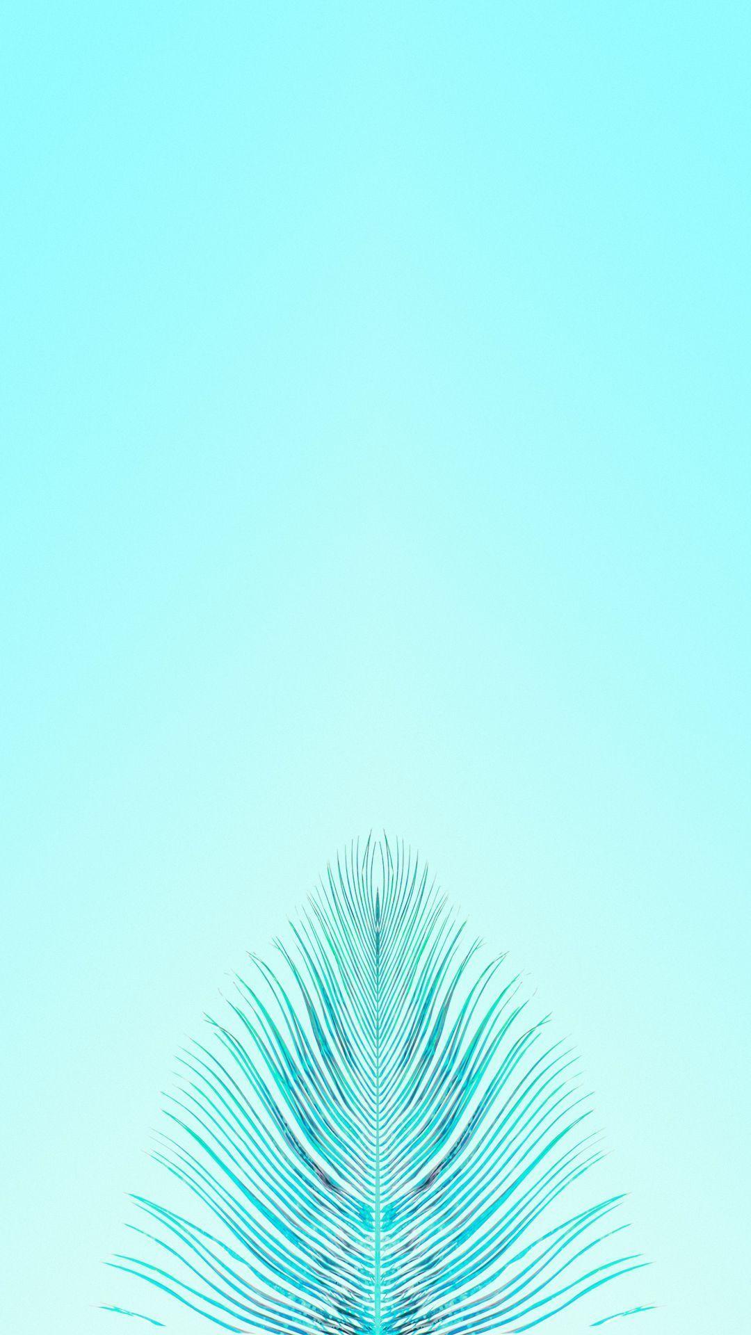 Turquoise and Grey Wallpapers Top Free Turquoise and Grey Backgrounds