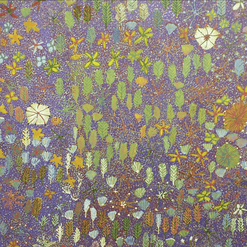 1000x1002 Australian Aboriginal Art .alexandra Obrien Xz32.