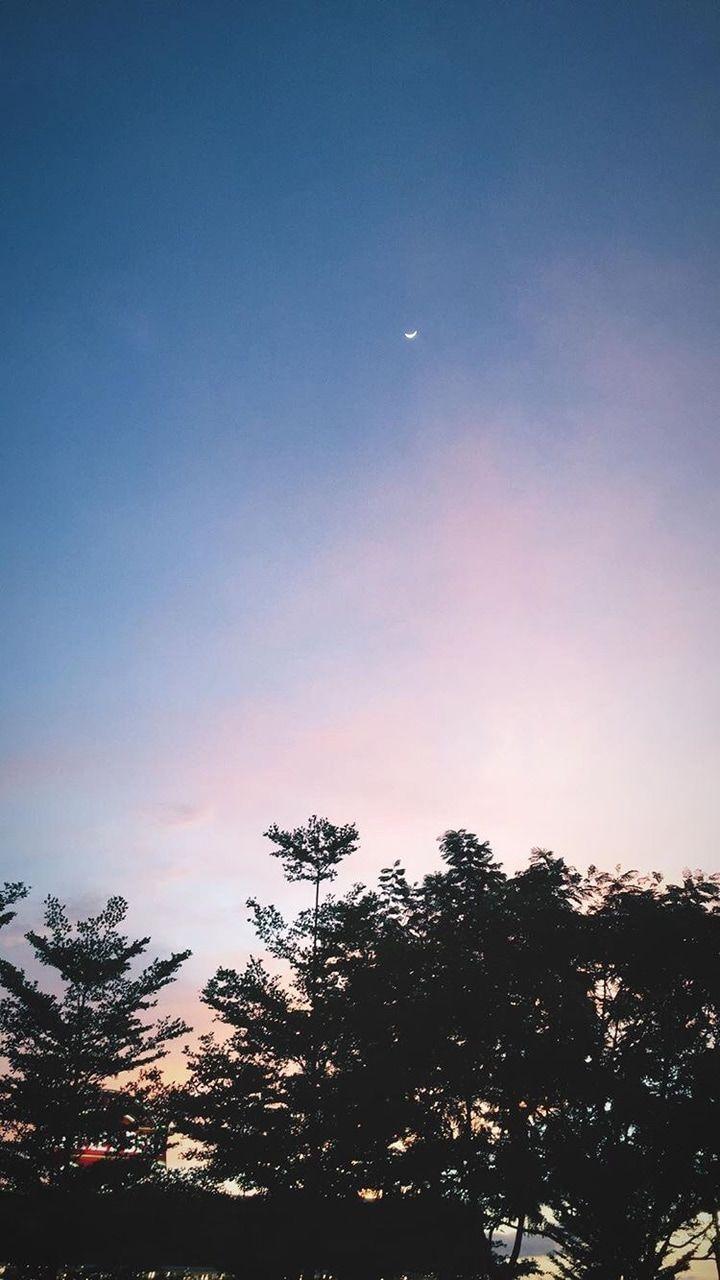 Rose Quartz and Serenity Wallpapers Top Free Rose Quartz and Serenity