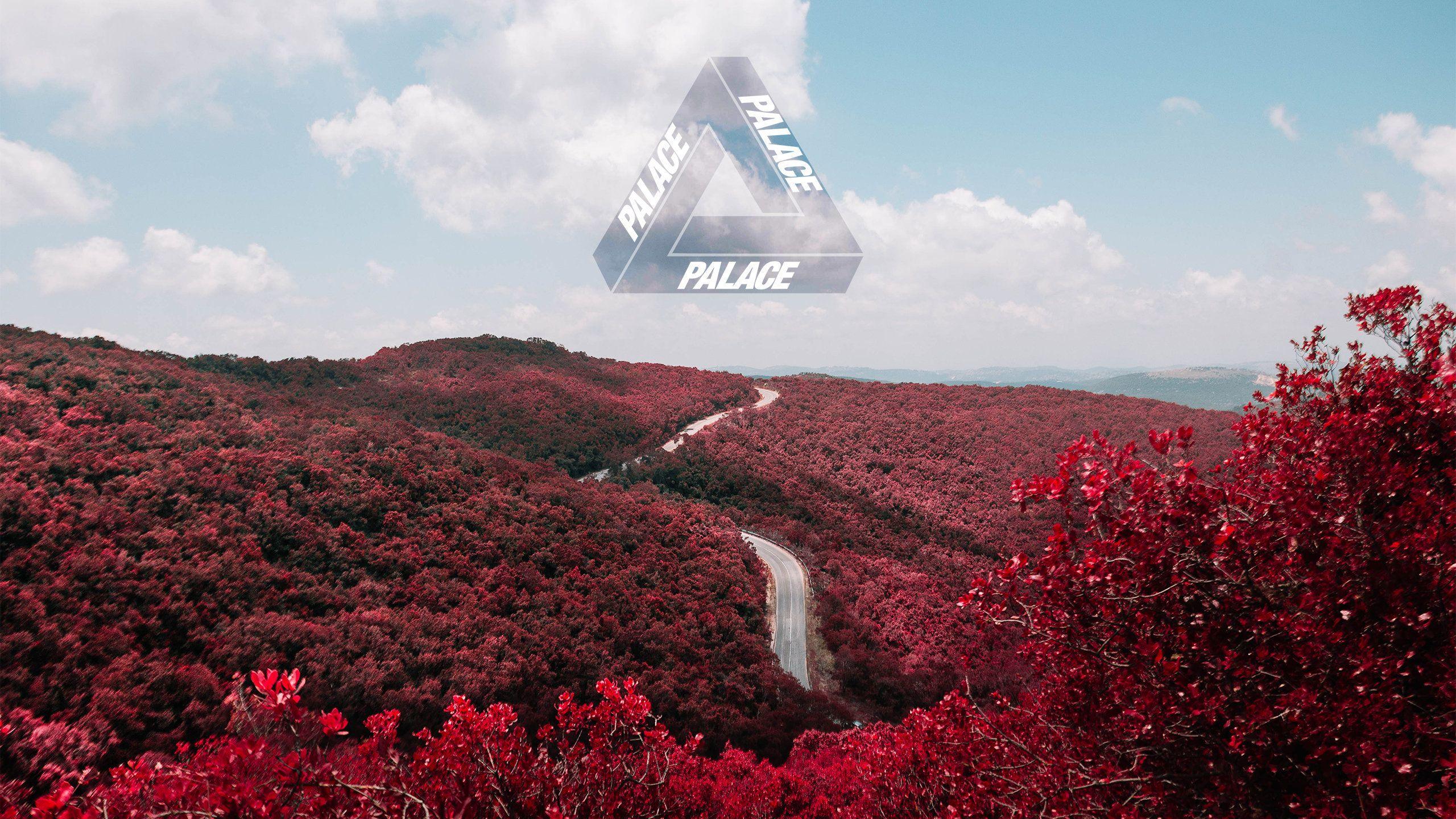 2560x1440 Palace Brand Wallpaper