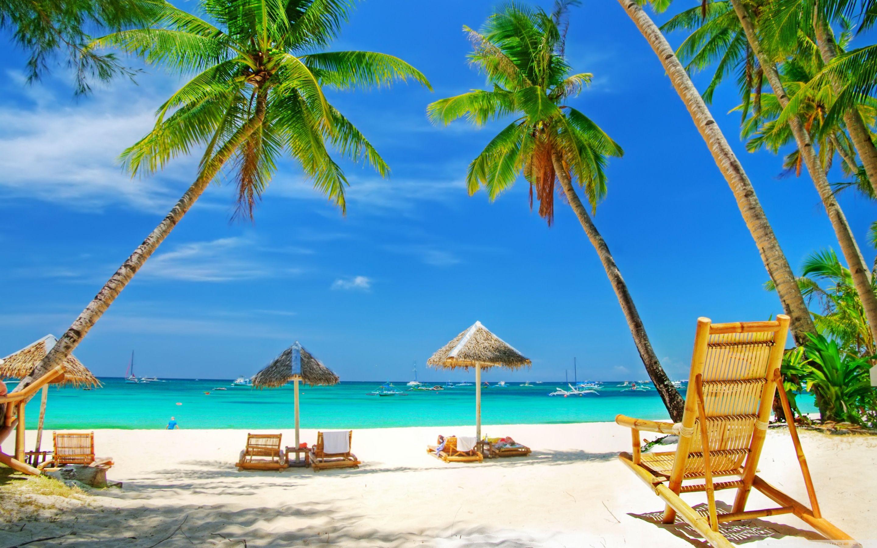 2880x1800 Tropical Wallpaper .7