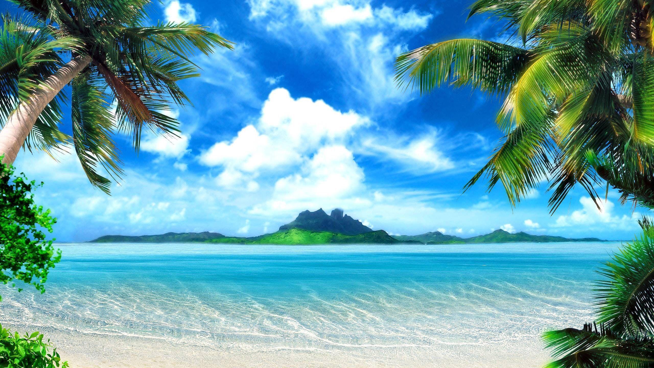2560x1440 Tropical Beach Background Wallpaper .com