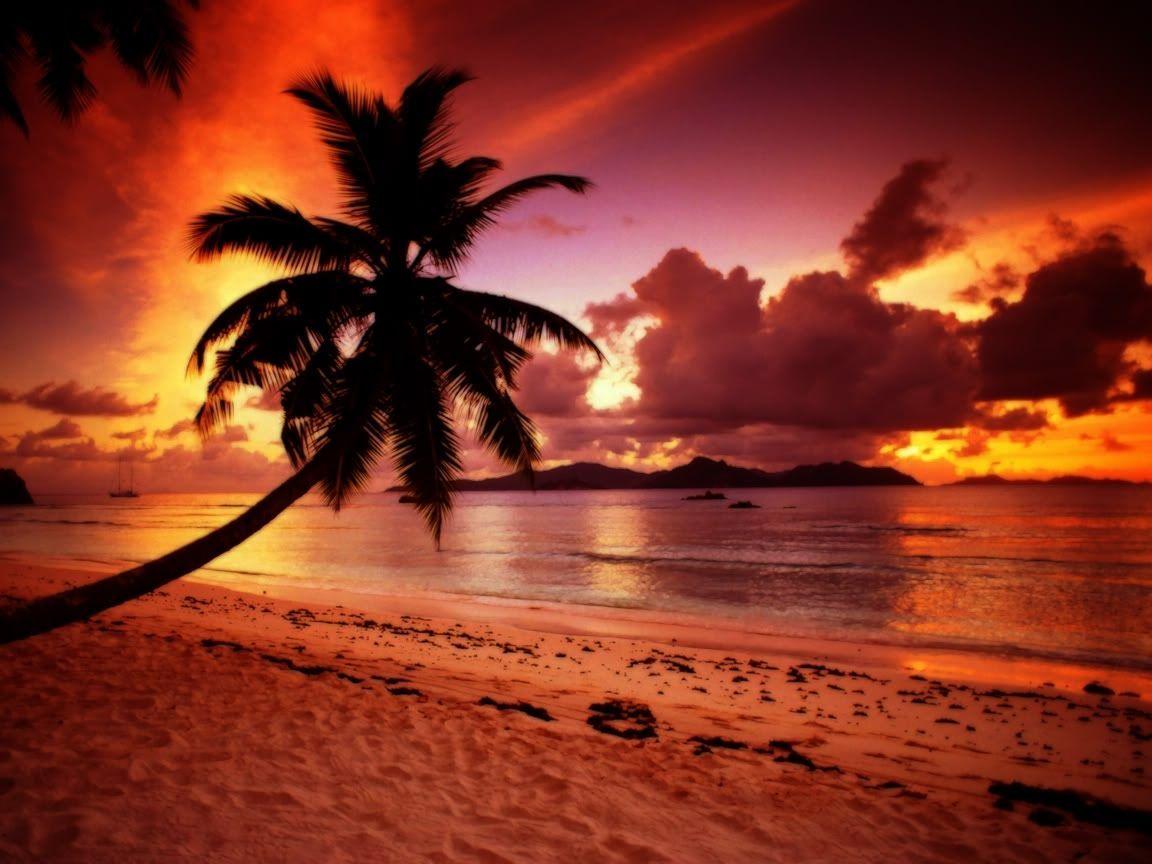 1152x864 Paradise Sunset