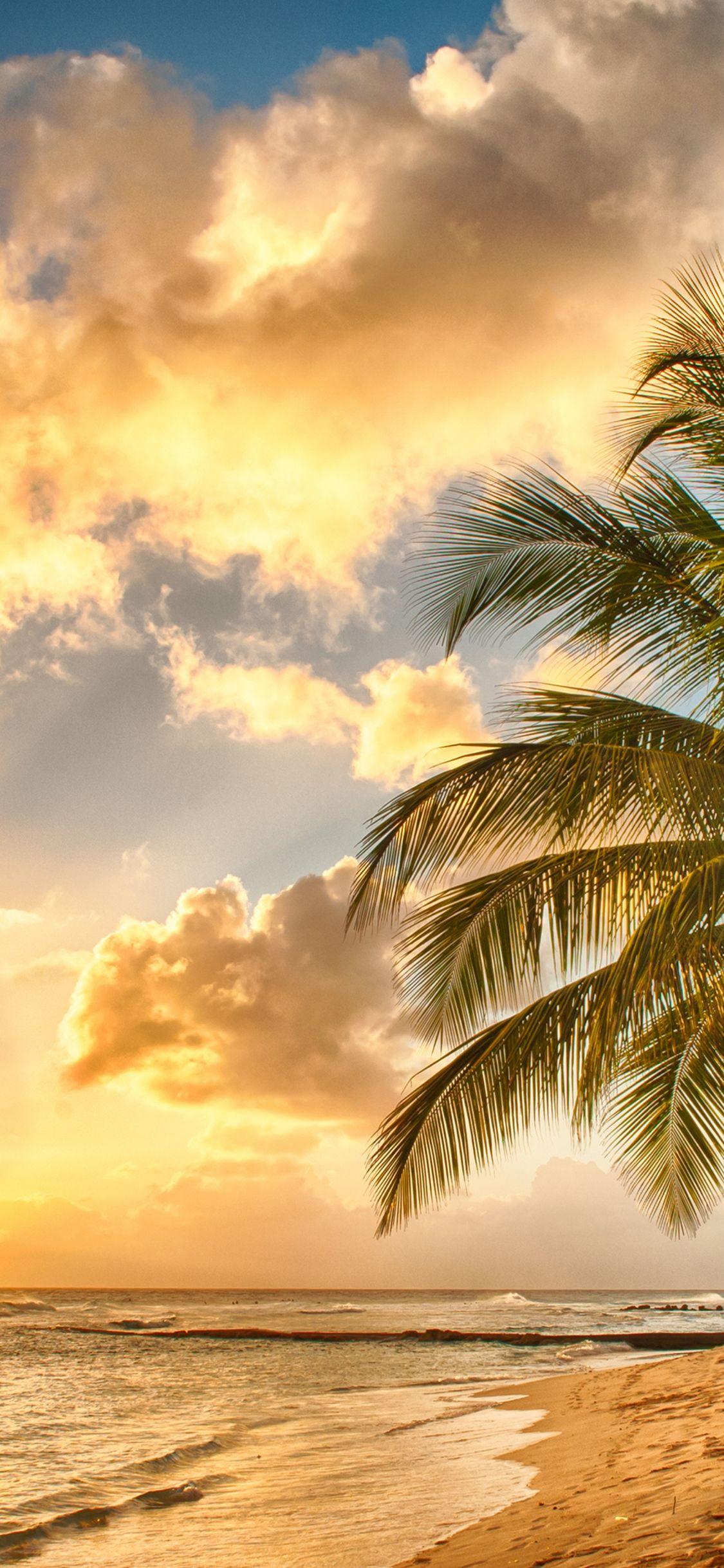 1125x2436 Tropical Sunset Wallpaper Free .