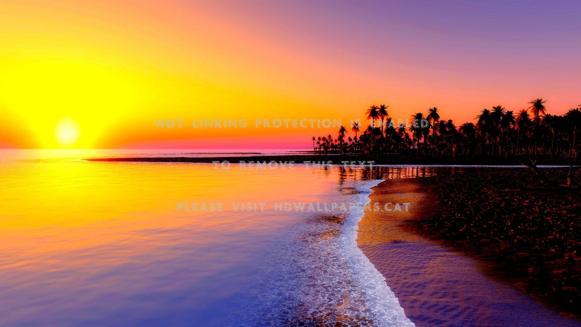 1920x1080 magnificent sunset in paradise beach palmshdwallpaper.cat
